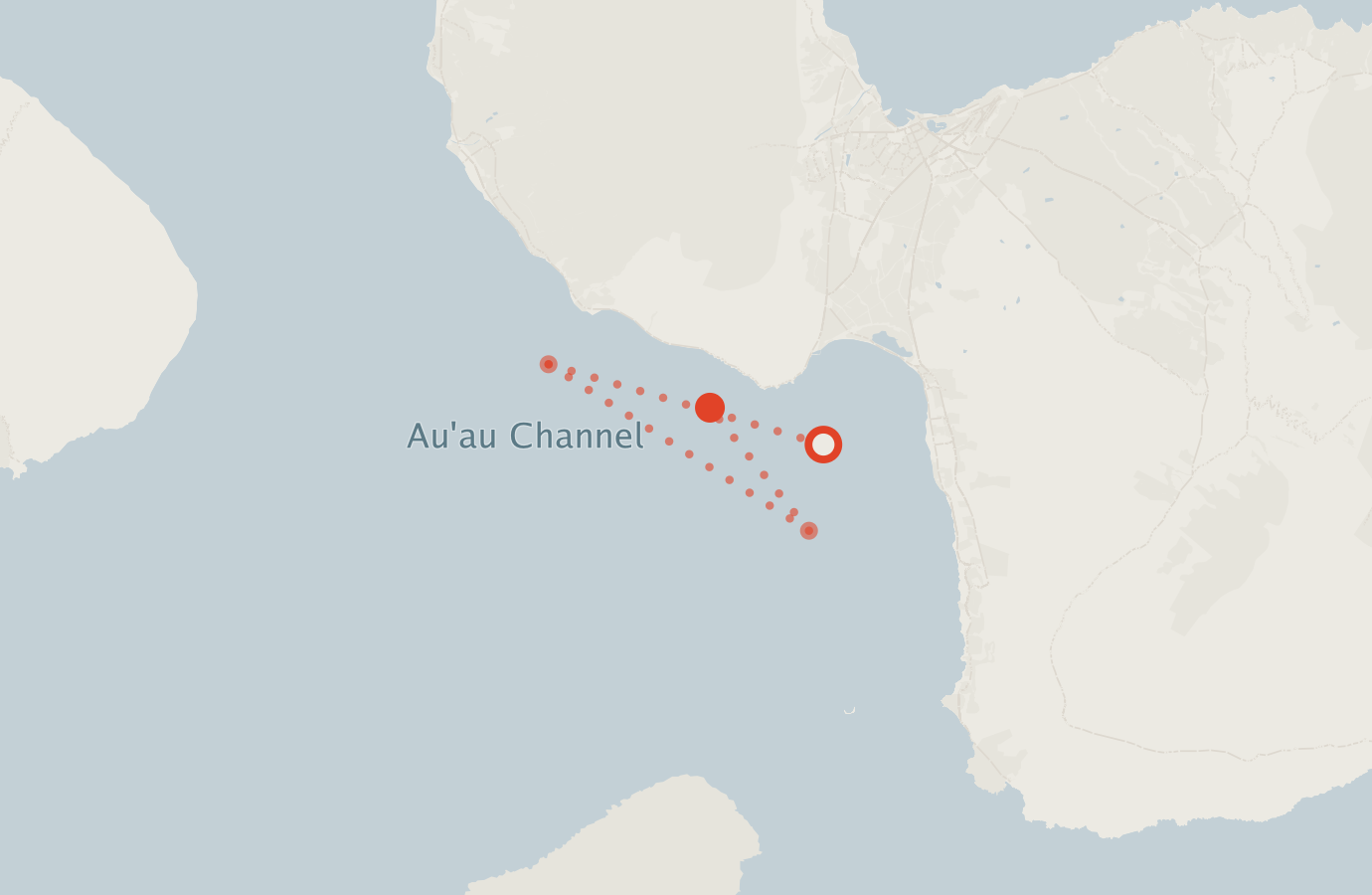 Activity map — real sighting points on an OpenStreetMap basemap