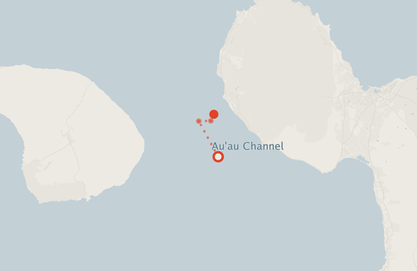 Activity map — real sighting points on an OpenStreetMap basemap