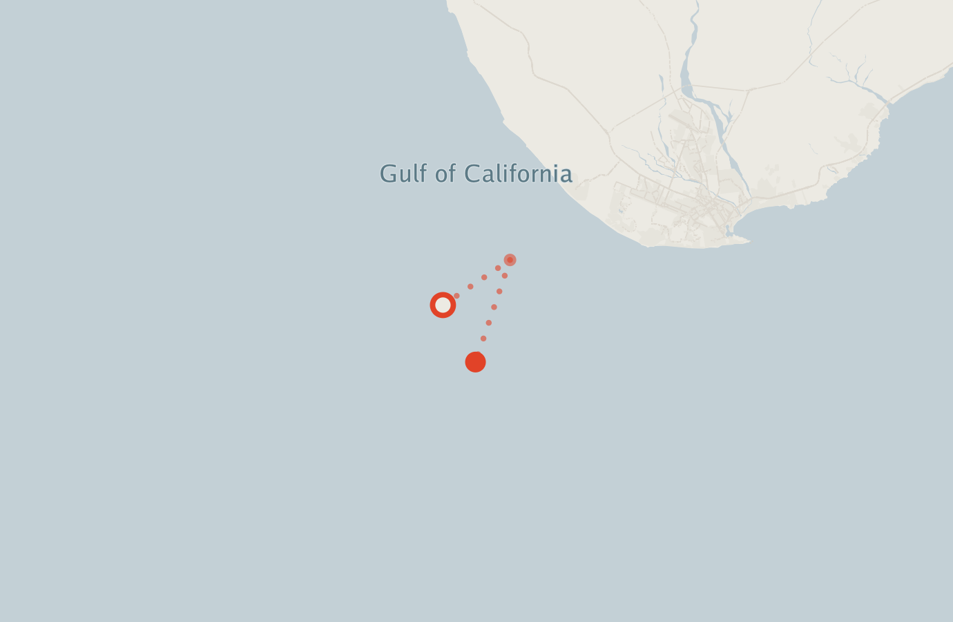 Activity map — real sighting points on an OpenStreetMap basemap