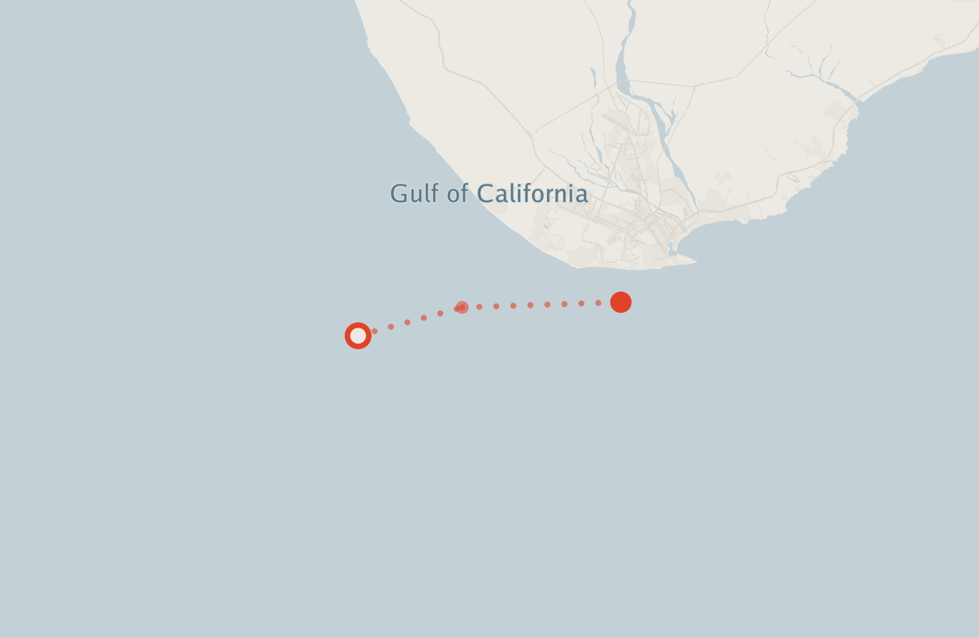 Activity map — real sighting points on an OpenStreetMap basemap