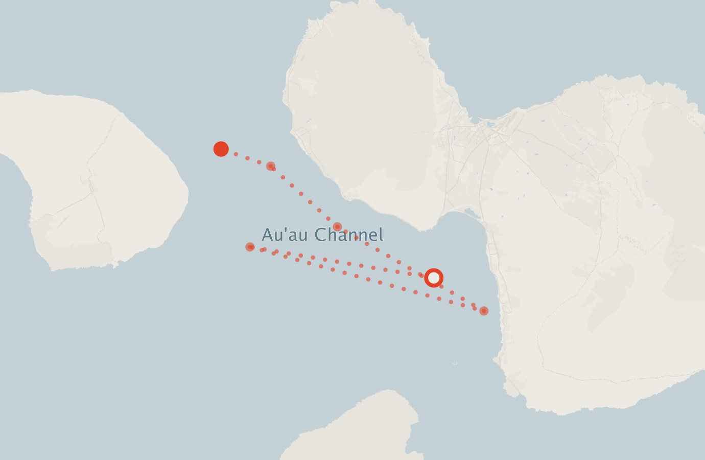 Activity map — real sighting points on an OpenStreetMap basemap