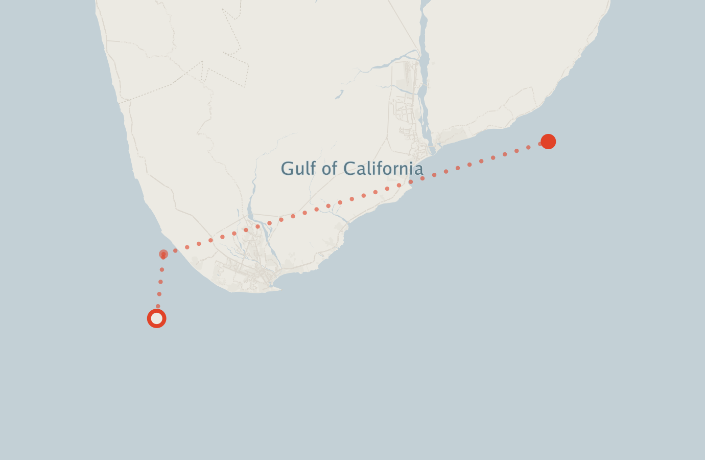 Activity map — real sighting points on an OpenStreetMap basemap