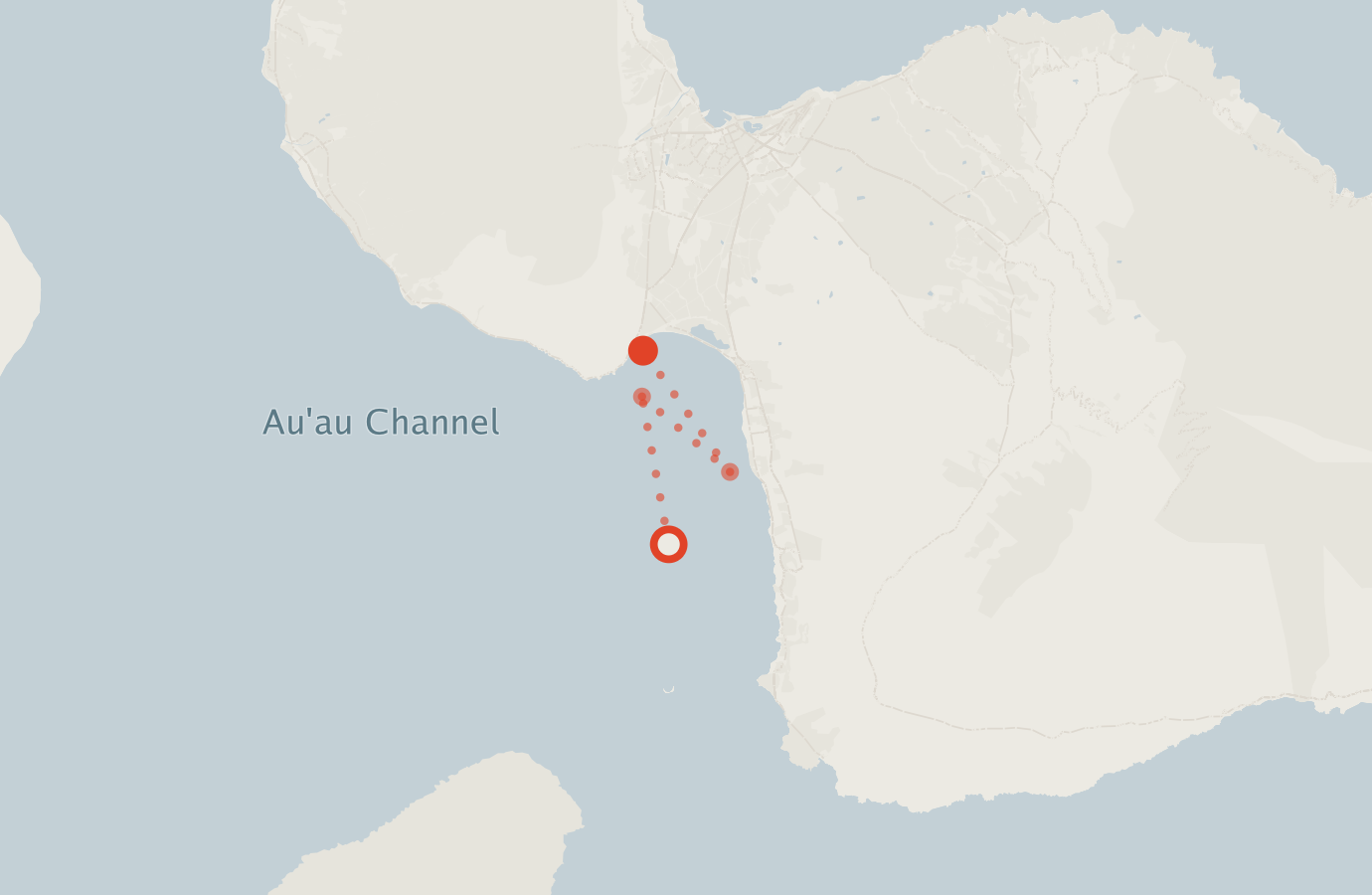 Activity map — real sighting points on an OpenStreetMap basemap