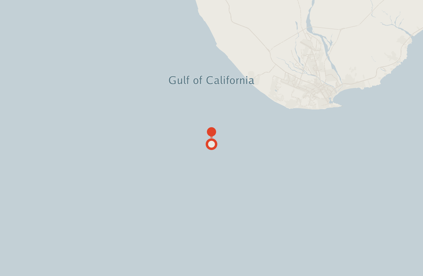 Activity map — real sighting points on an OpenStreetMap basemap