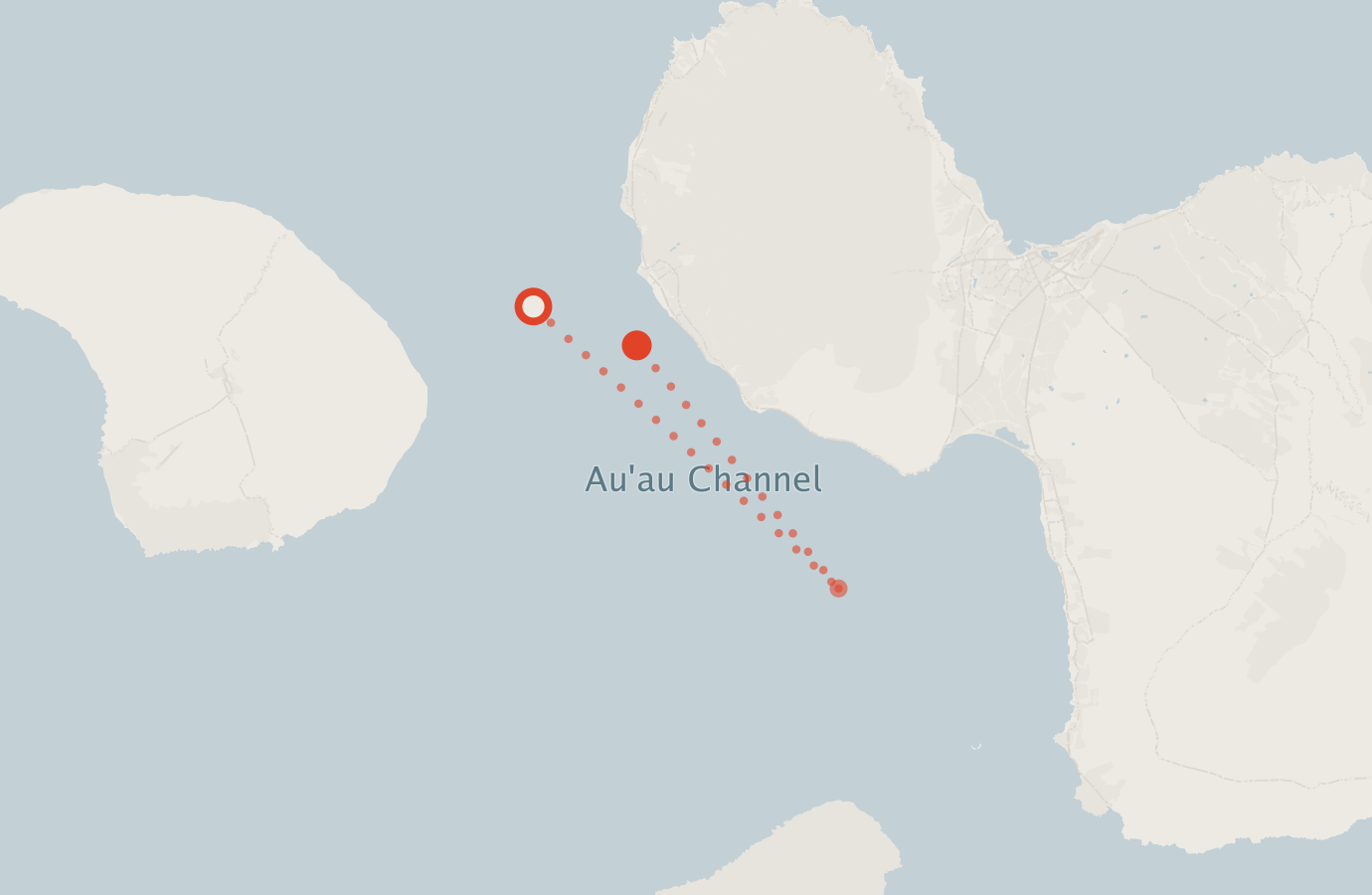 Activity map — real sighting points on an OpenStreetMap basemap