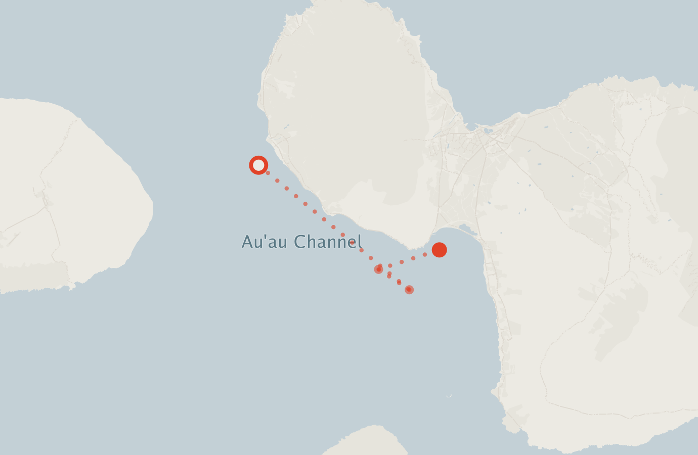 Activity map — real sighting points on an OpenStreetMap basemap
