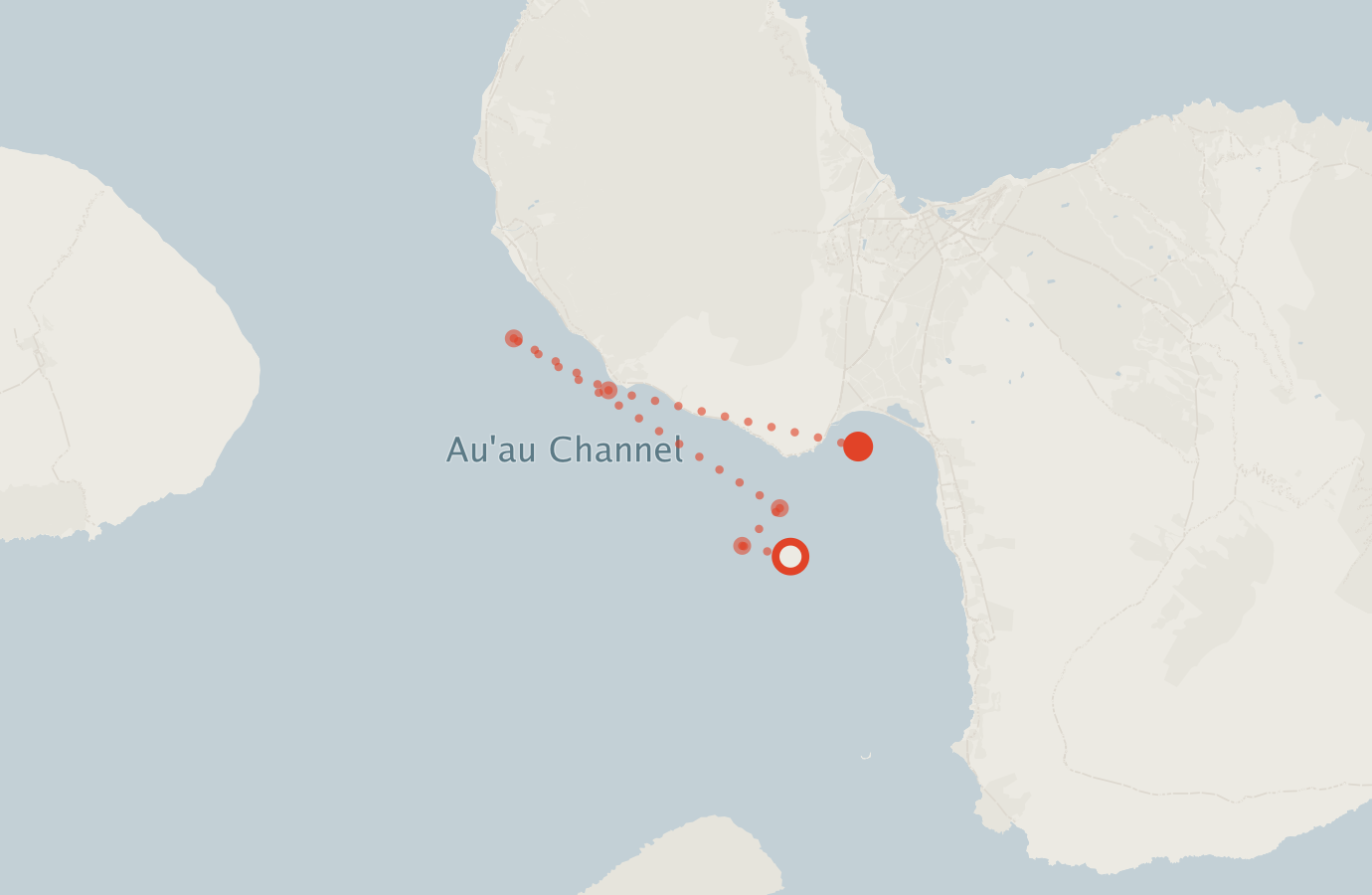 Activity map — real sighting points on an OpenStreetMap basemap
