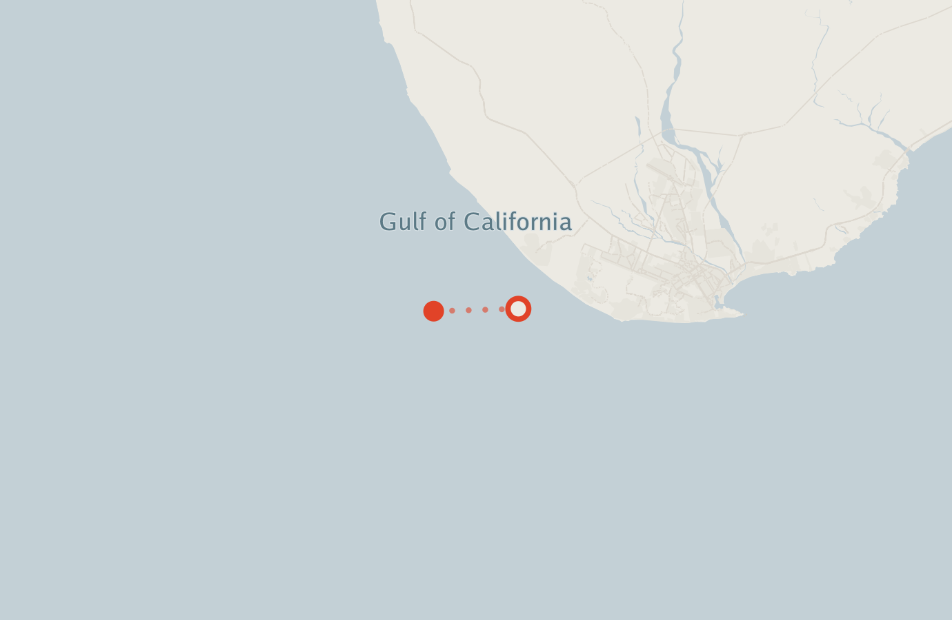 Activity map — real sighting points on an OpenStreetMap basemap