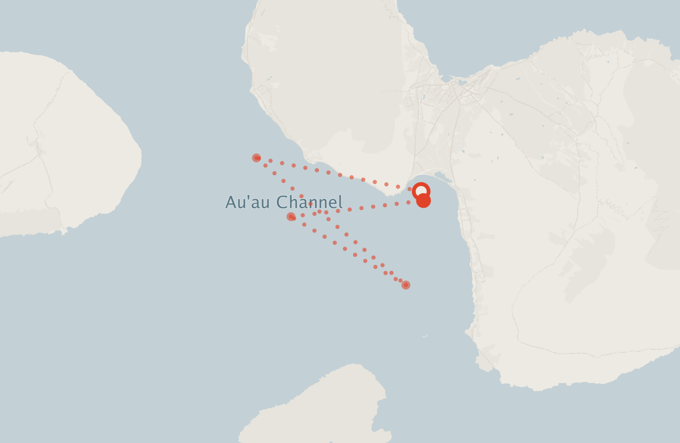 Activity map — real sighting points on an OpenStreetMap basemap