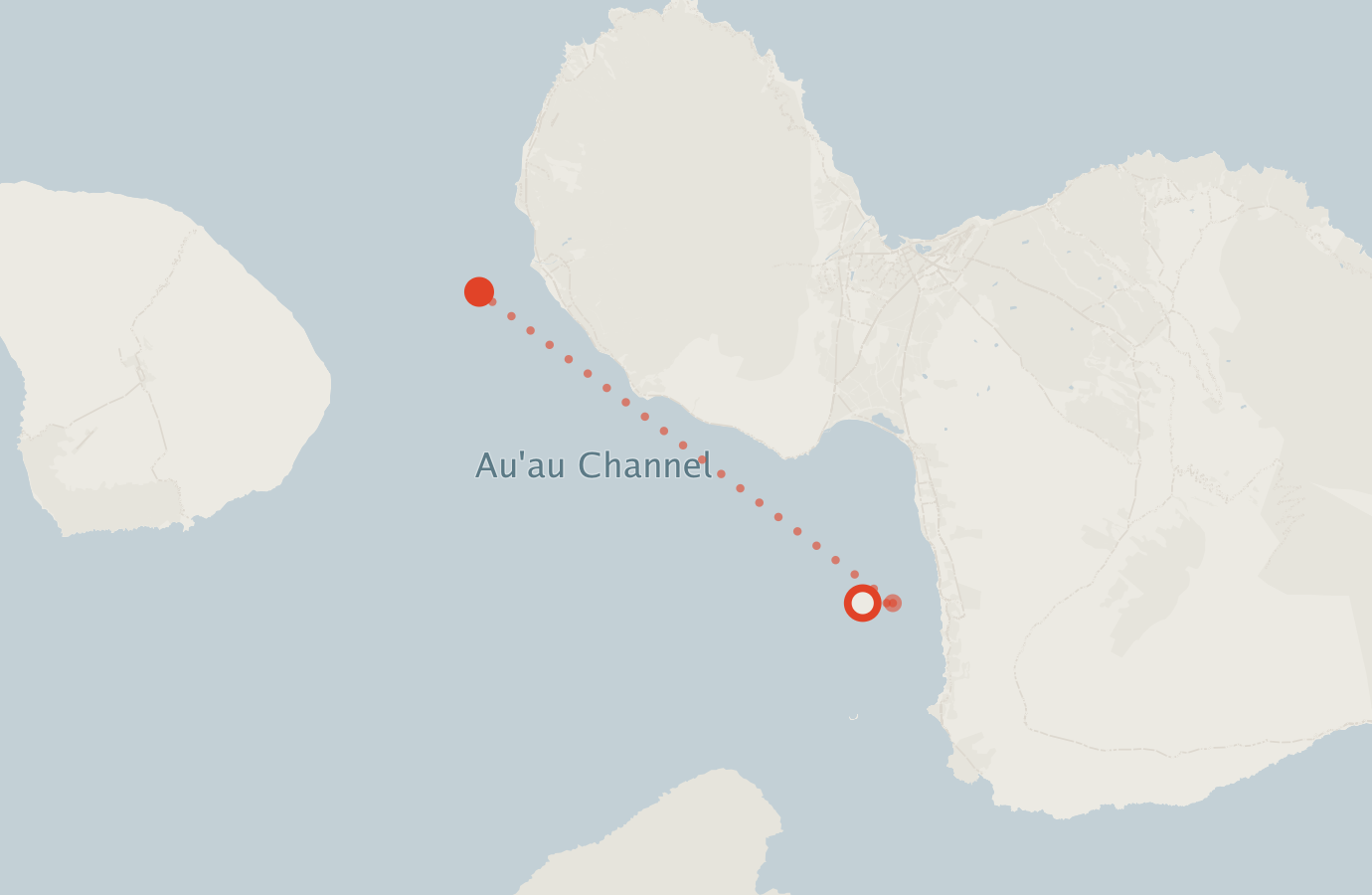 Activity map — real sighting points on an OpenStreetMap basemap