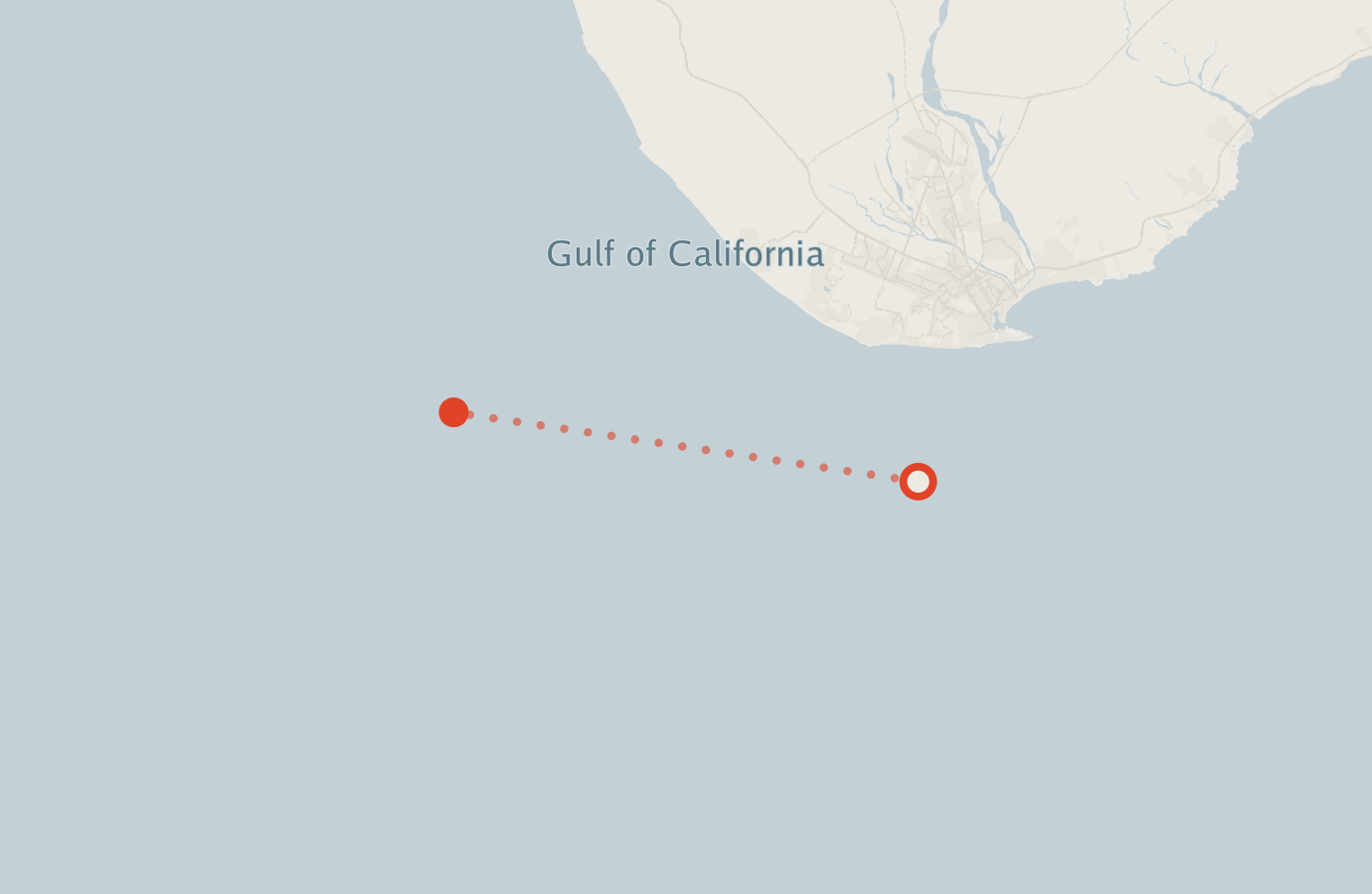 Activity map — real sighting points on an OpenStreetMap basemap