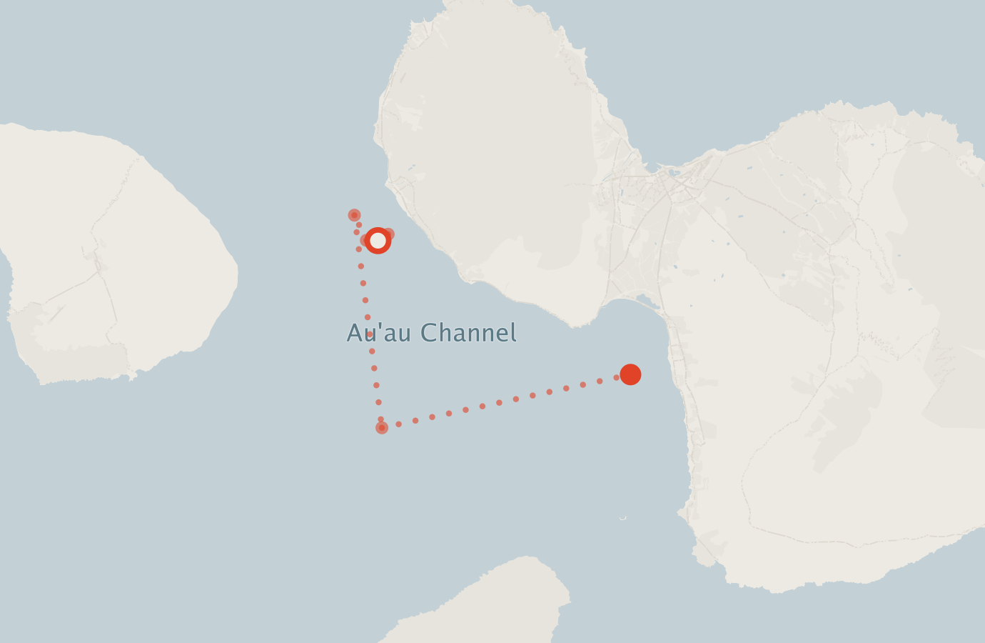 Activity map — real sighting points on an OpenStreetMap basemap