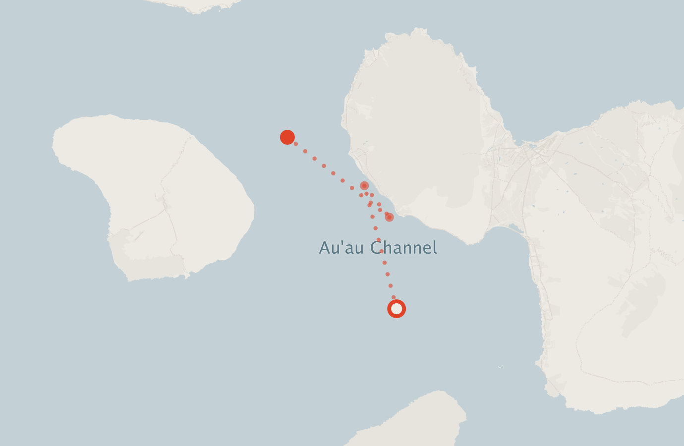 Activity map — real sighting points on an OpenStreetMap basemap