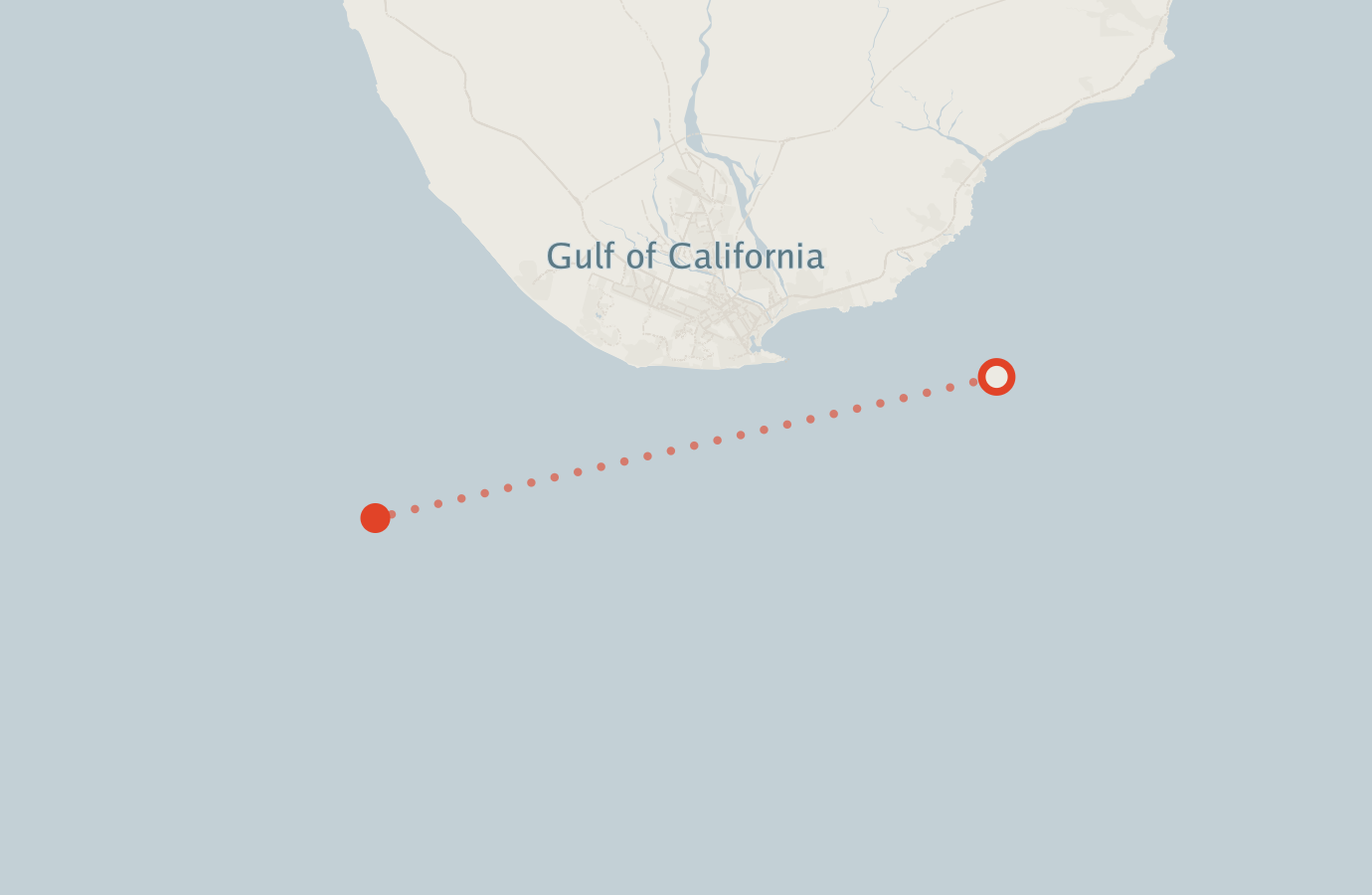 Activity map — real sighting points on an OpenStreetMap basemap