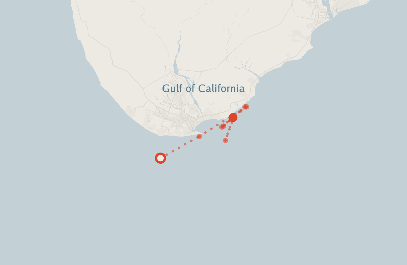 Activity map — real sighting points on an OpenStreetMap basemap