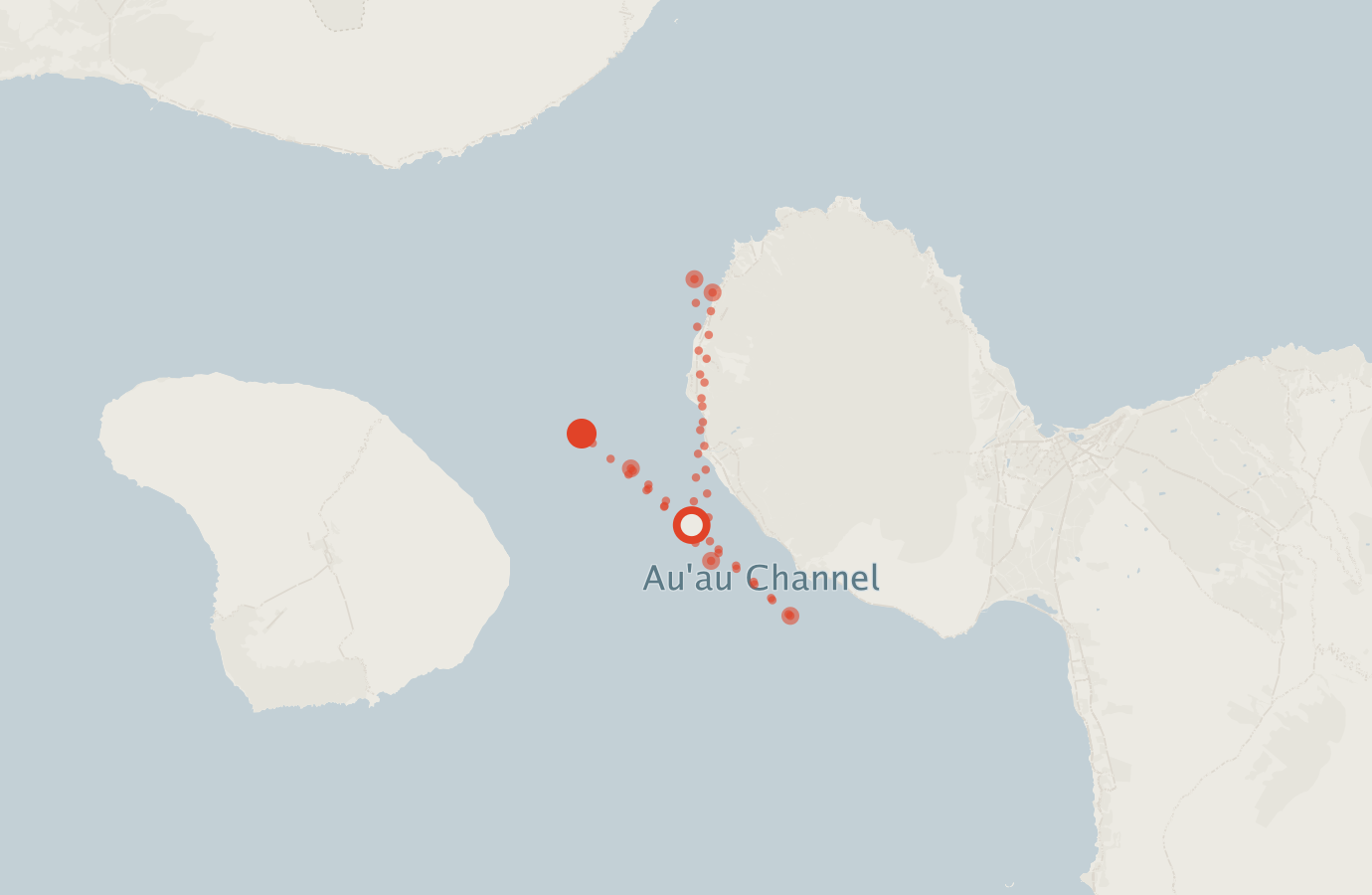 Activity map — real sighting points on an OpenStreetMap basemap
