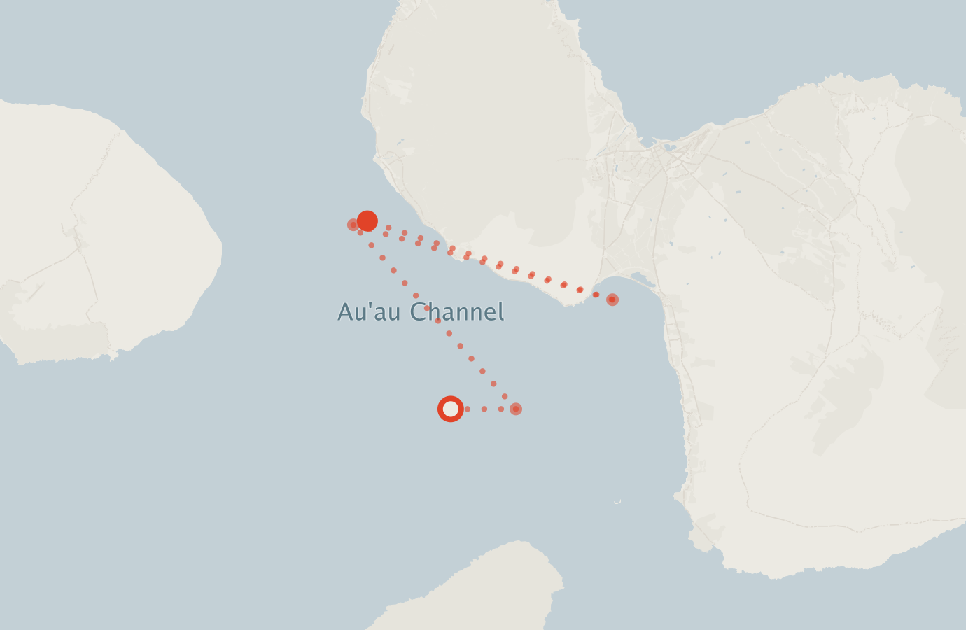 Activity map — real sighting points on an OpenStreetMap basemap