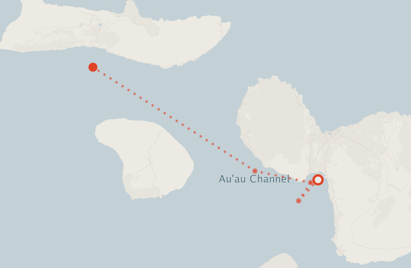 Activity map — real sighting points on an OpenStreetMap basemap