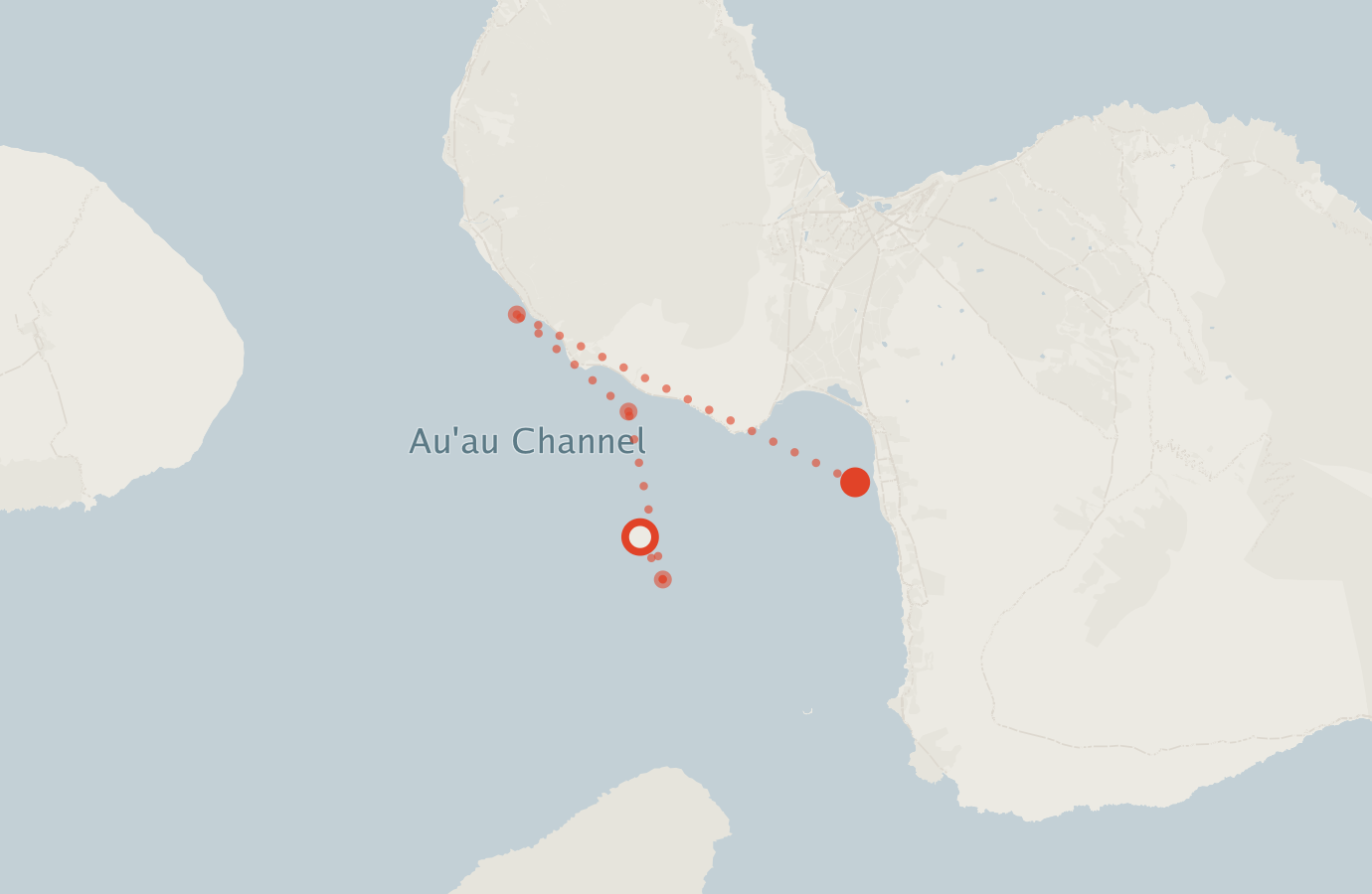 Activity map — real sighting points on an OpenStreetMap basemap