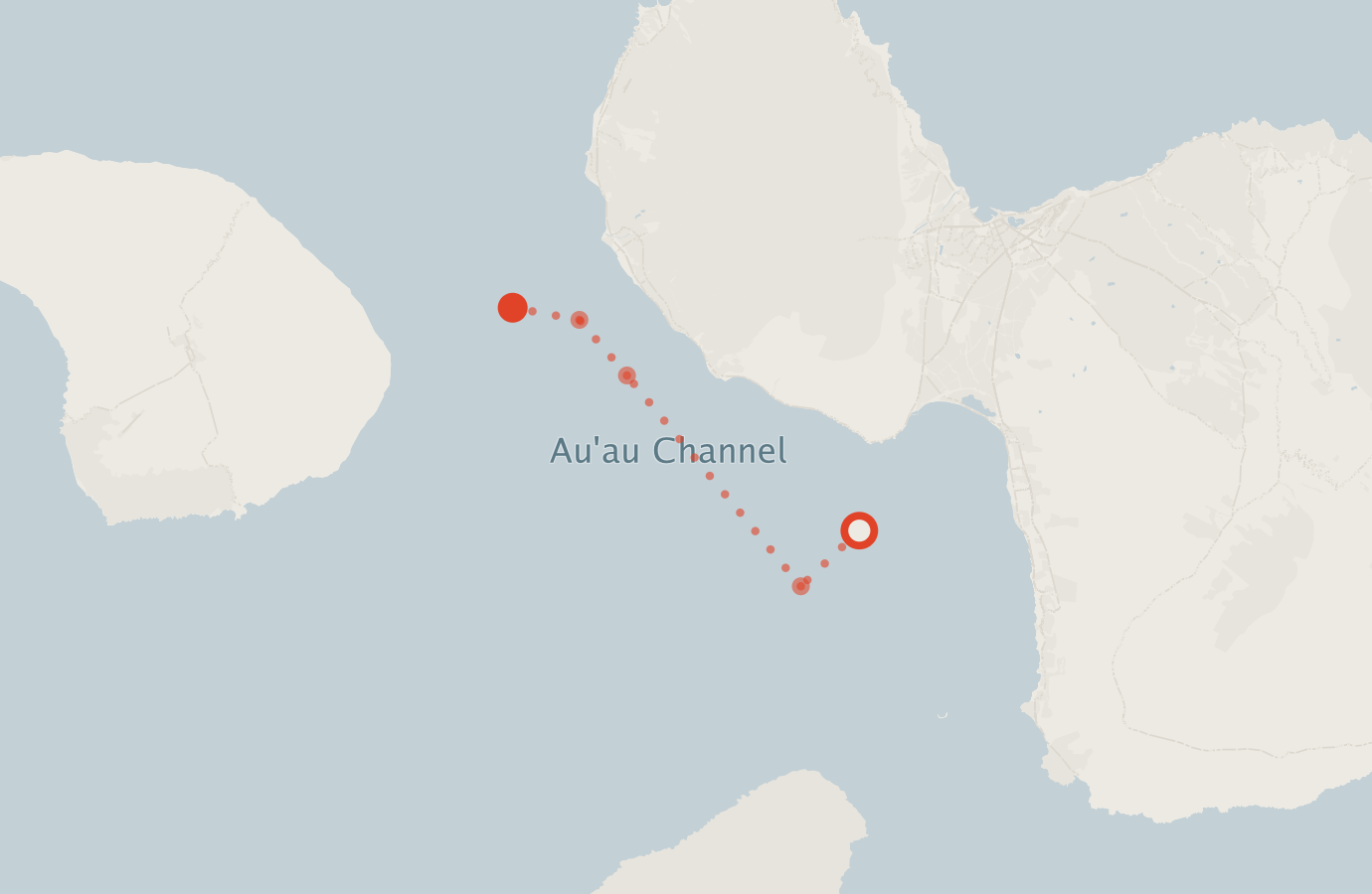 Activity map — real sighting points on an OpenStreetMap basemap