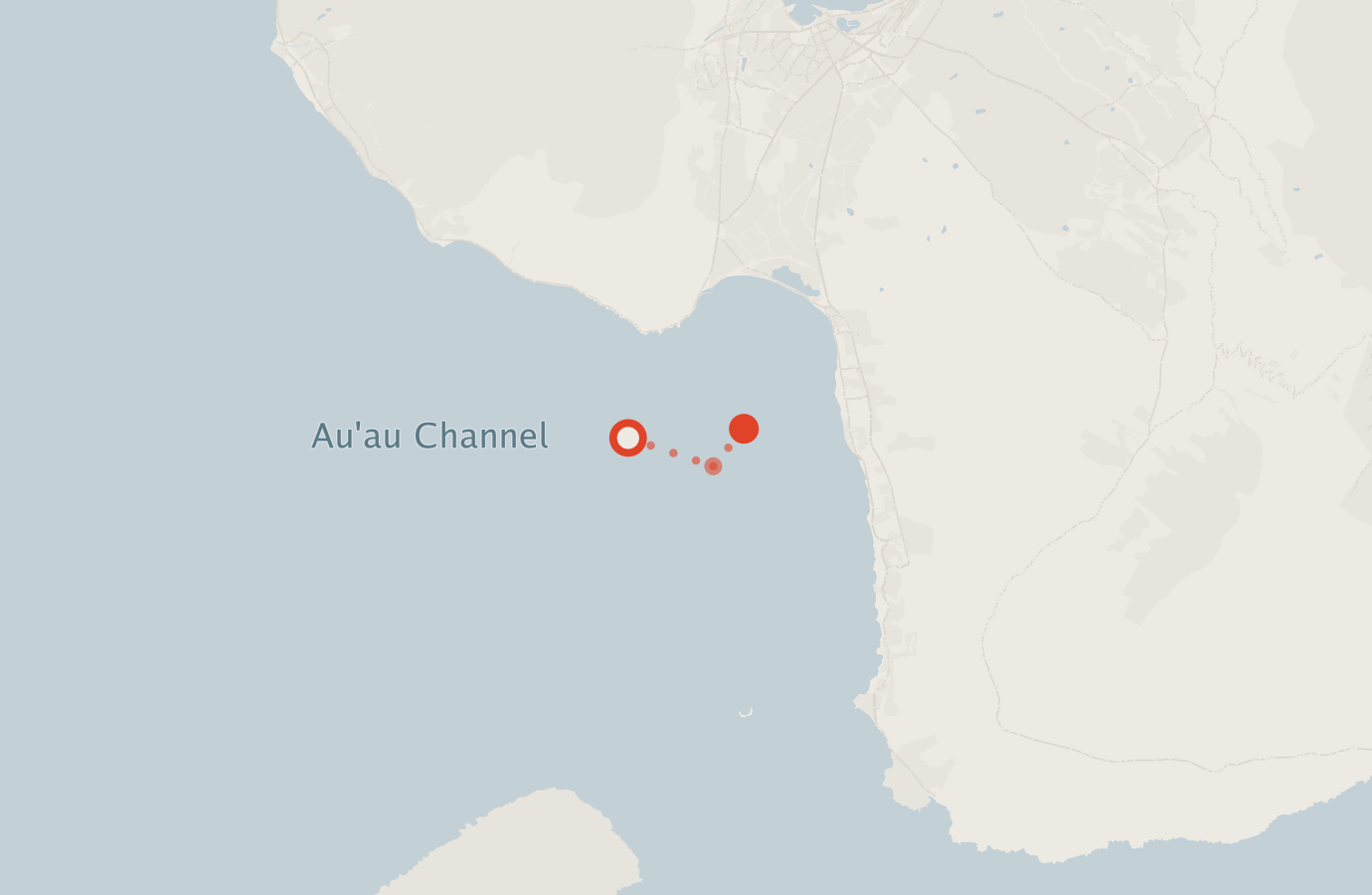 Activity map — real sighting points on an OpenStreetMap basemap
