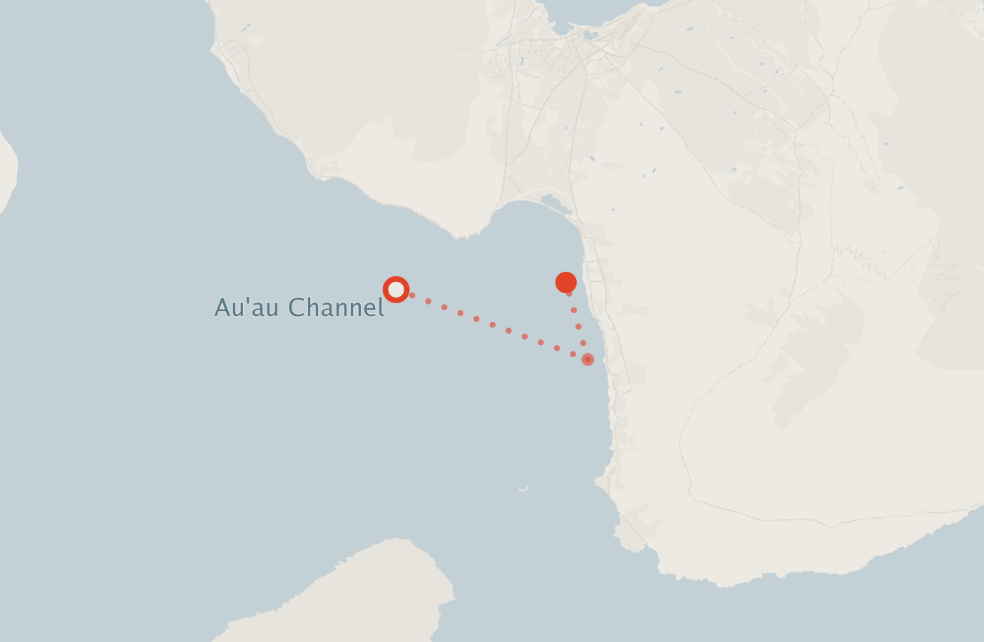 Activity map — real sighting points on an OpenStreetMap basemap