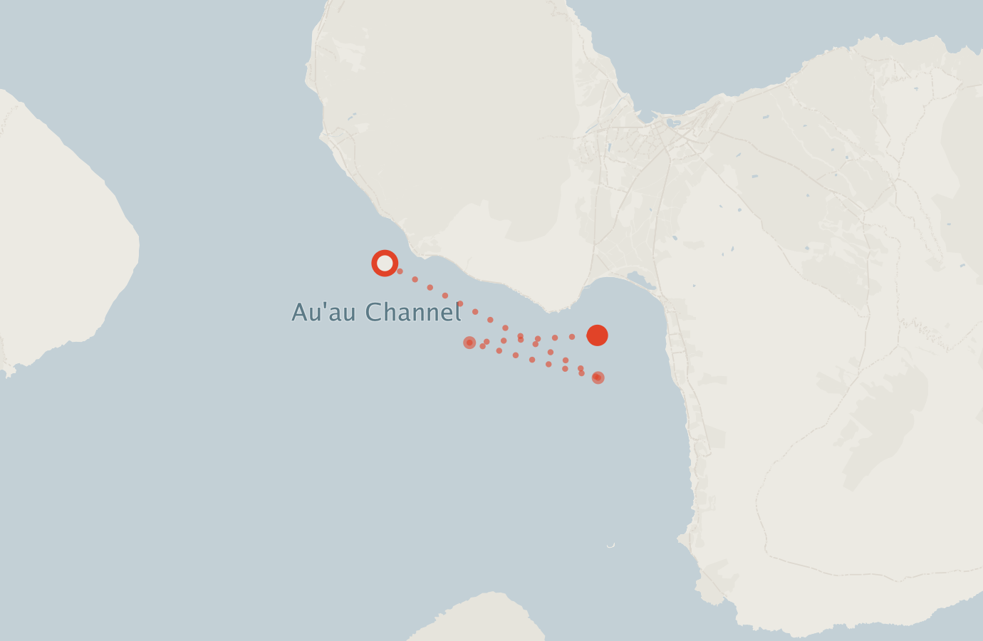 Activity map — real sighting points on an OpenStreetMap basemap