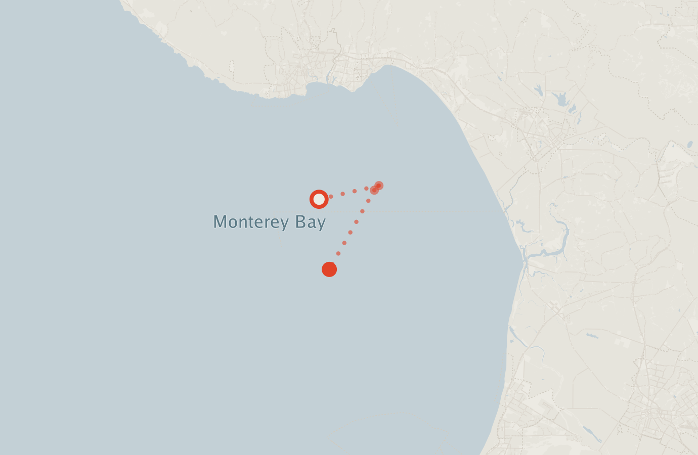 Activity map — real sighting points on an OpenStreetMap basemap