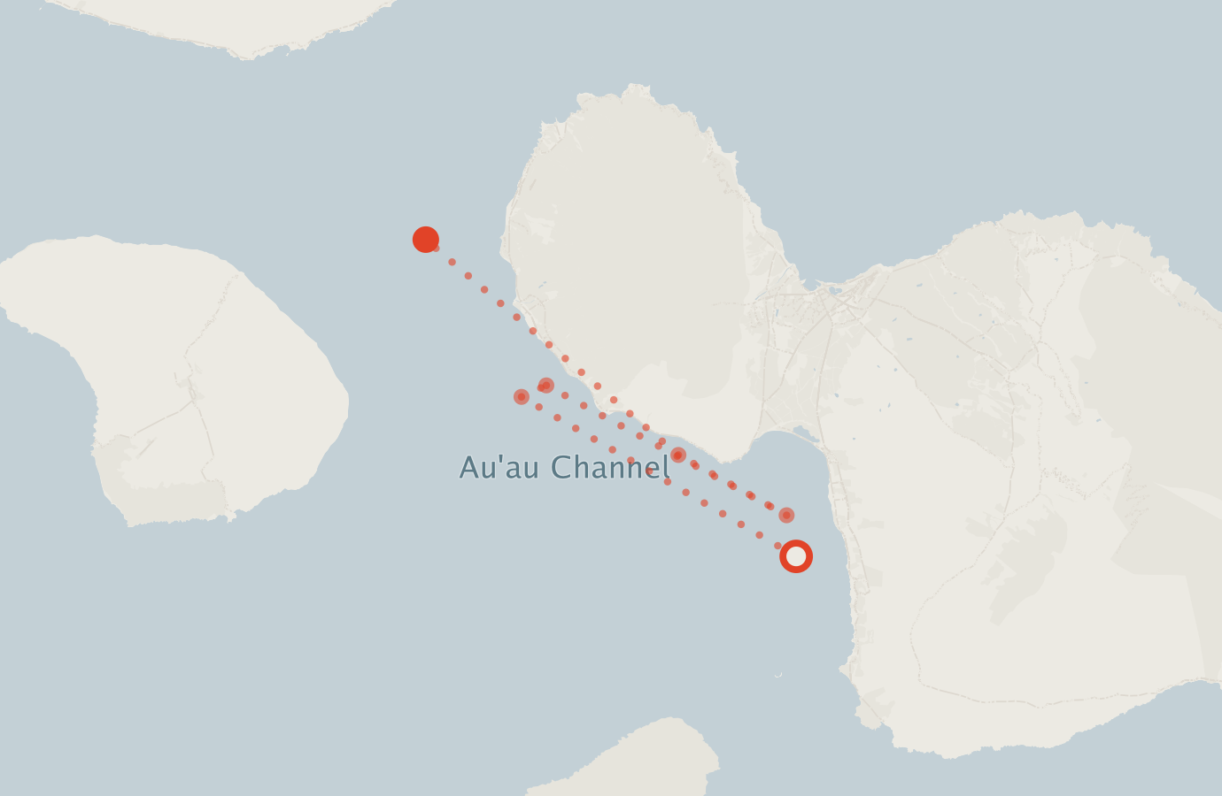 Activity map — real sighting points on an OpenStreetMap basemap