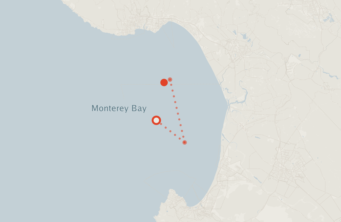 Activity map — real sighting points on an OpenStreetMap basemap