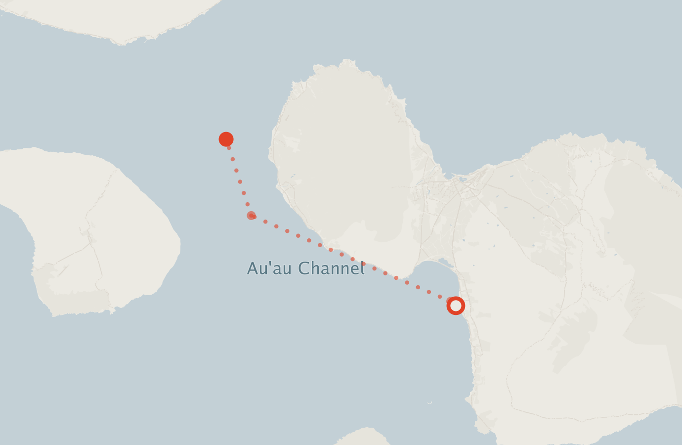 Activity map — real sighting points on an OpenStreetMap basemap
