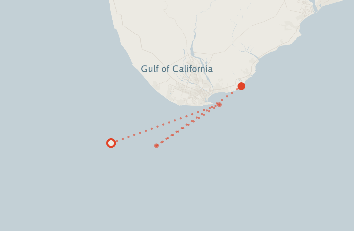 Activity map — real sighting points on an OpenStreetMap basemap