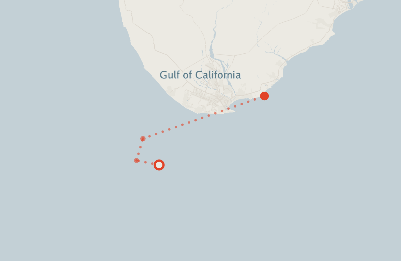 Activity map — real sighting points on an OpenStreetMap basemap