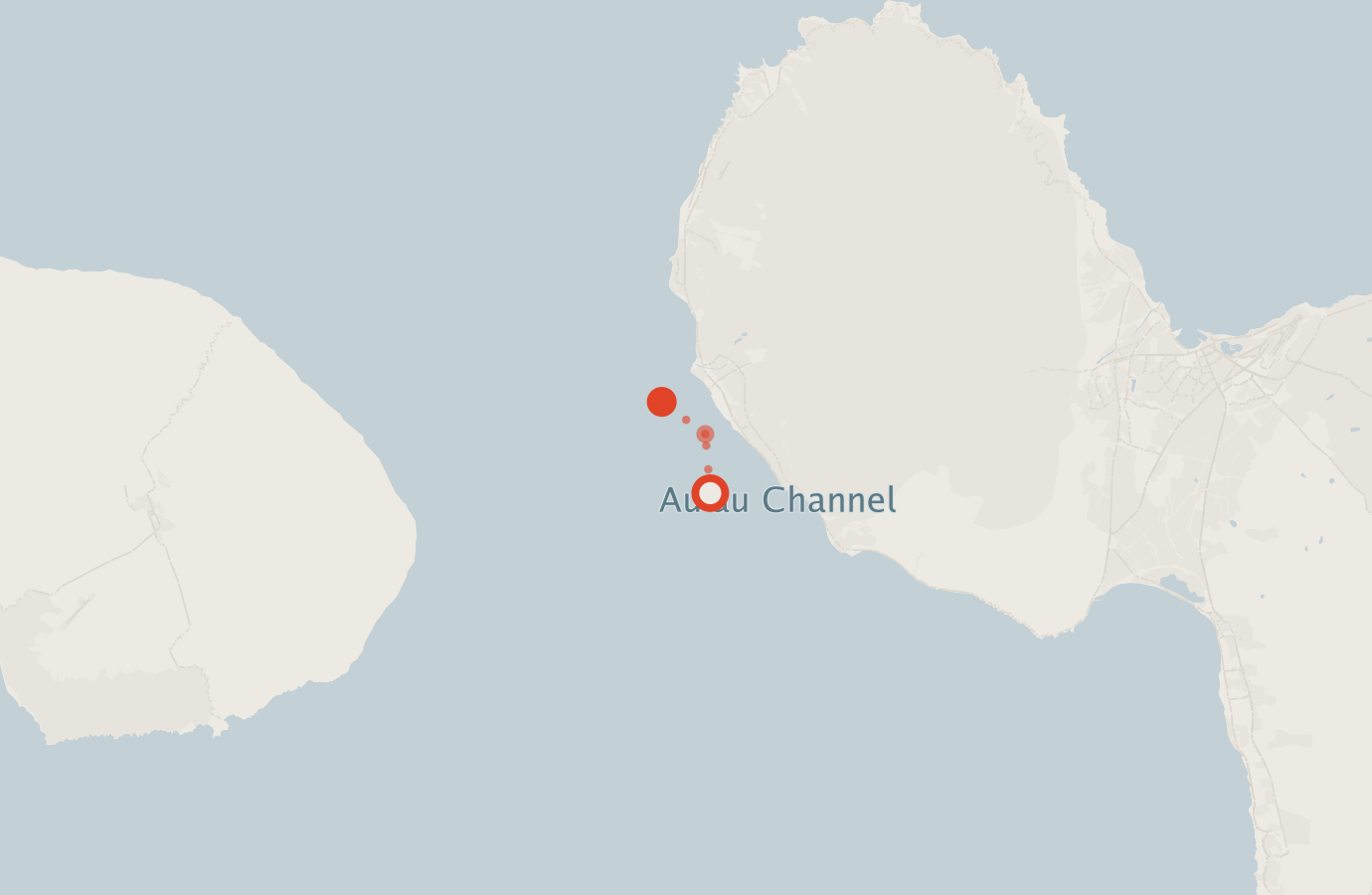 Activity map — real sighting points on an OpenStreetMap basemap