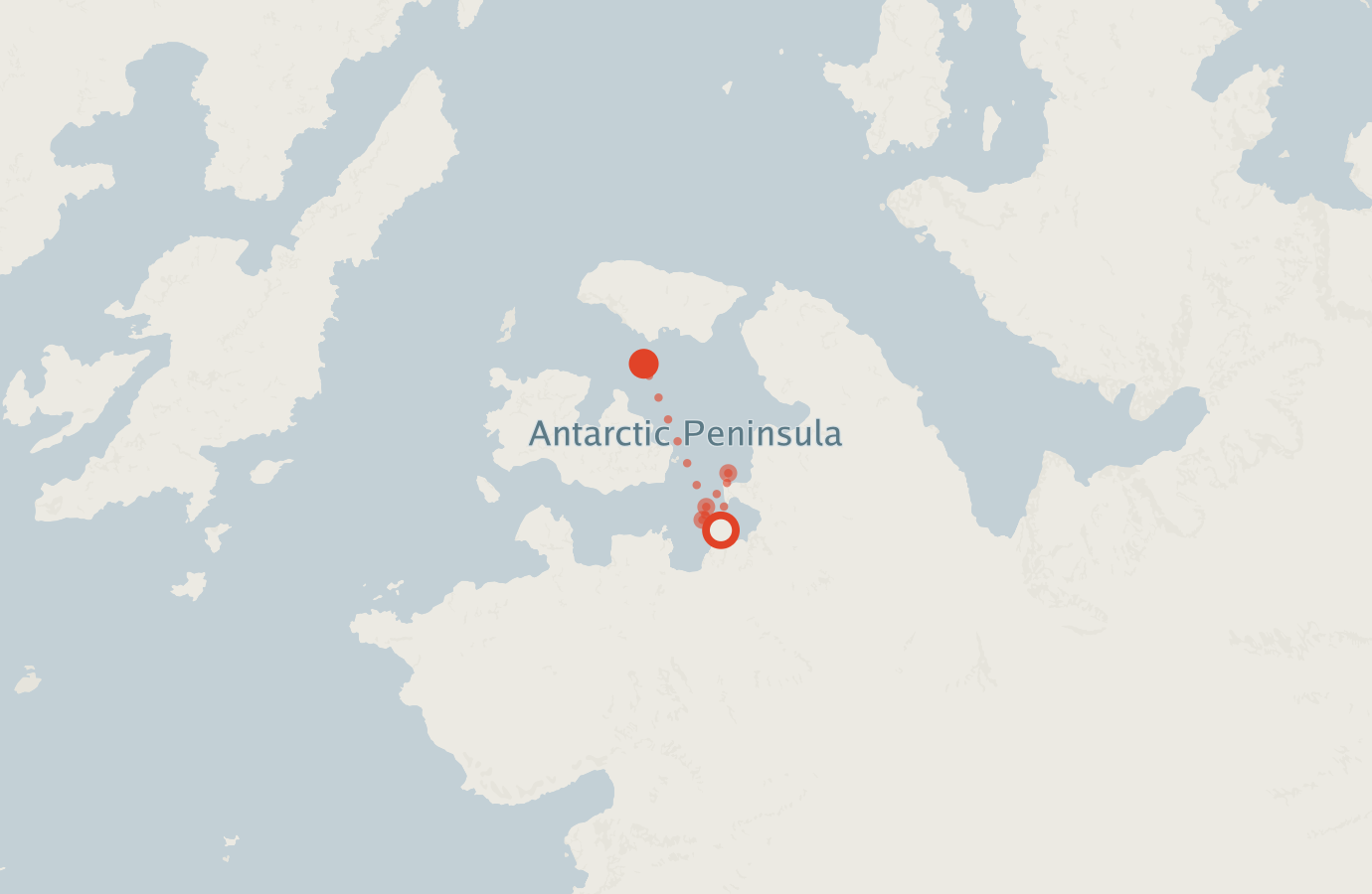 Activity map — real sighting points on an OpenStreetMap basemap