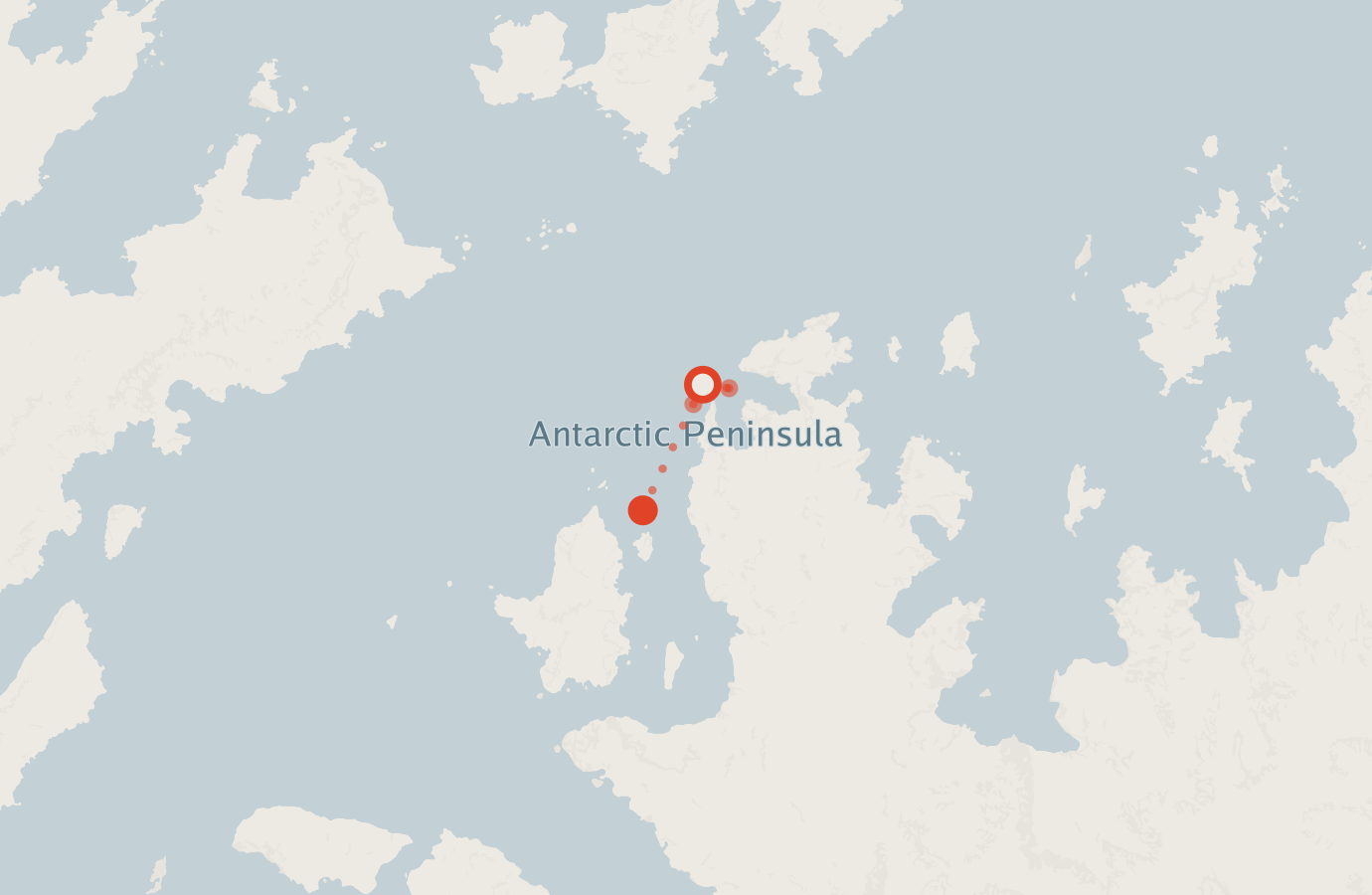 Activity map — real sighting points on an OpenStreetMap basemap