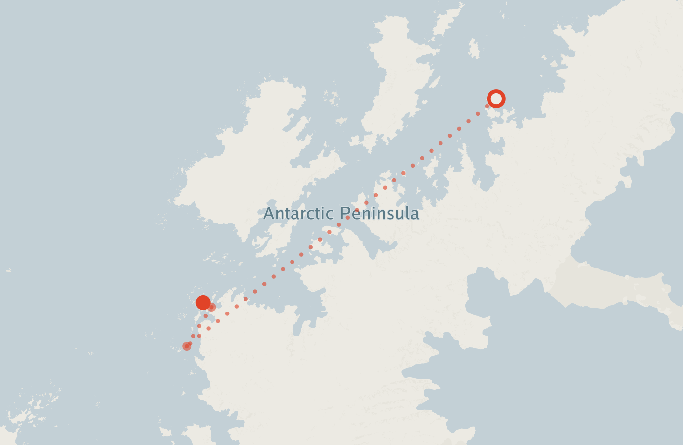 Activity map — real sighting points on an OpenStreetMap basemap