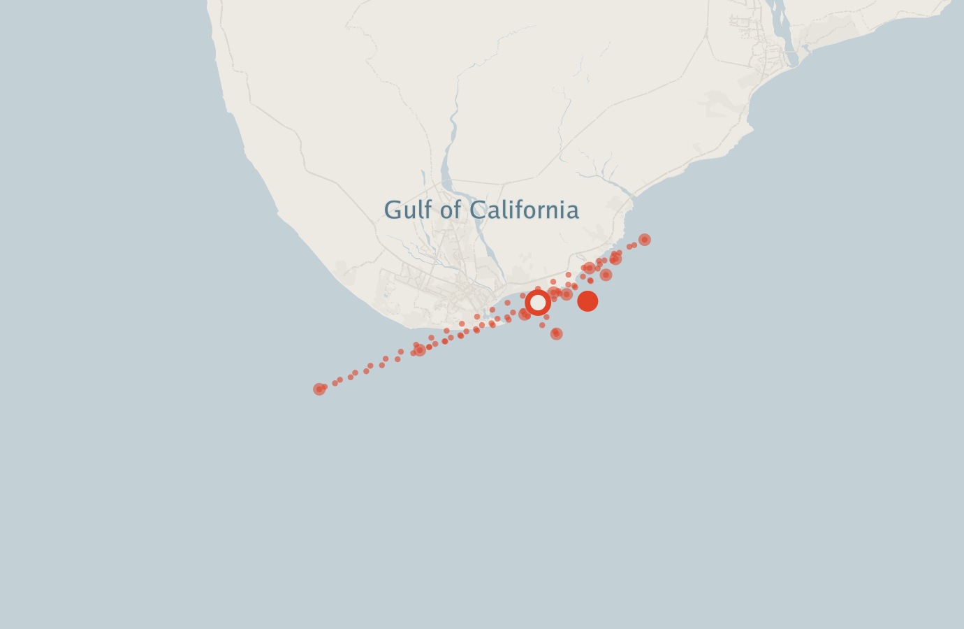 Activity map — real sighting points on an OpenStreetMap basemap