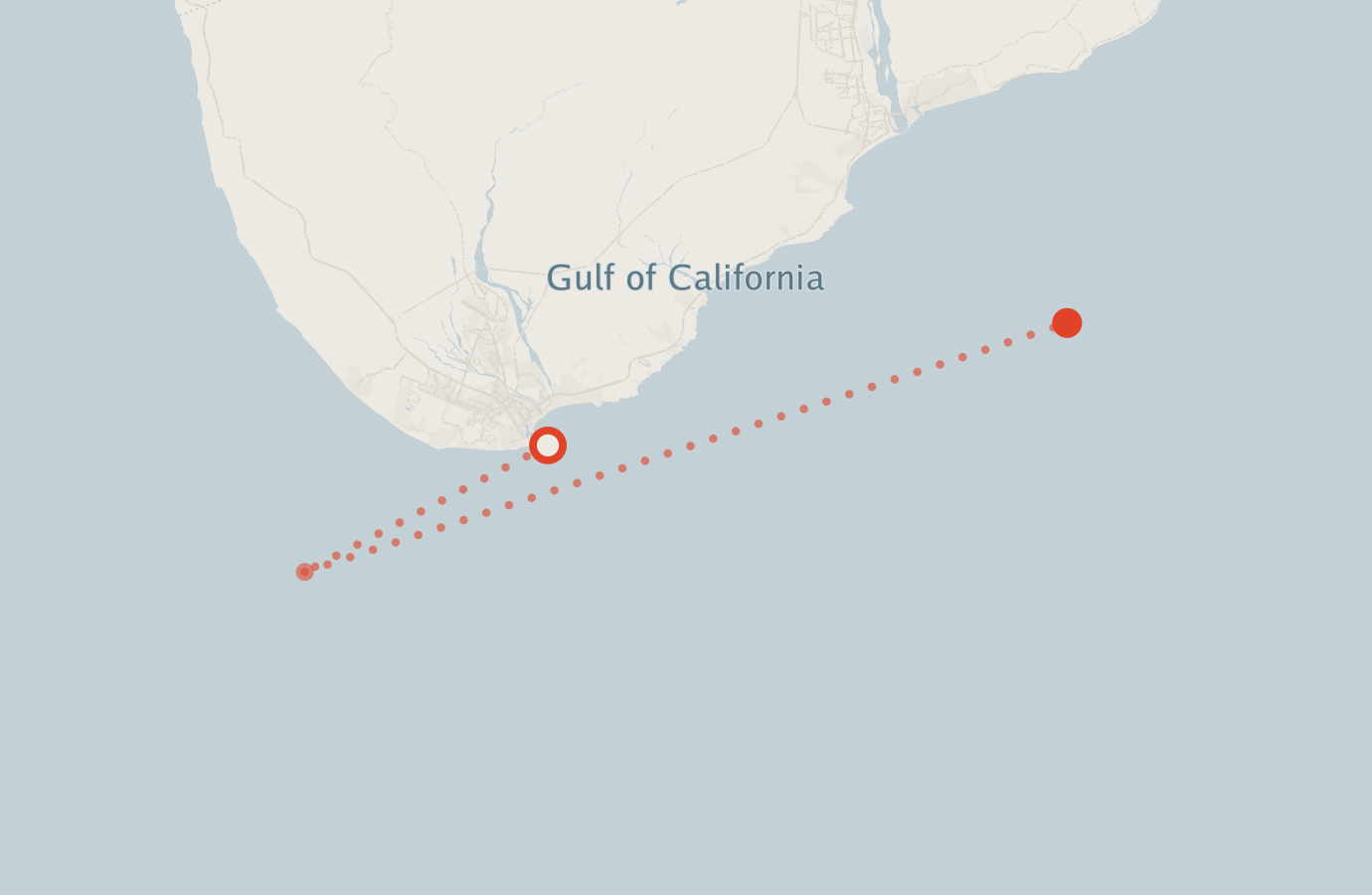 Activity map — real sighting points on an OpenStreetMap basemap