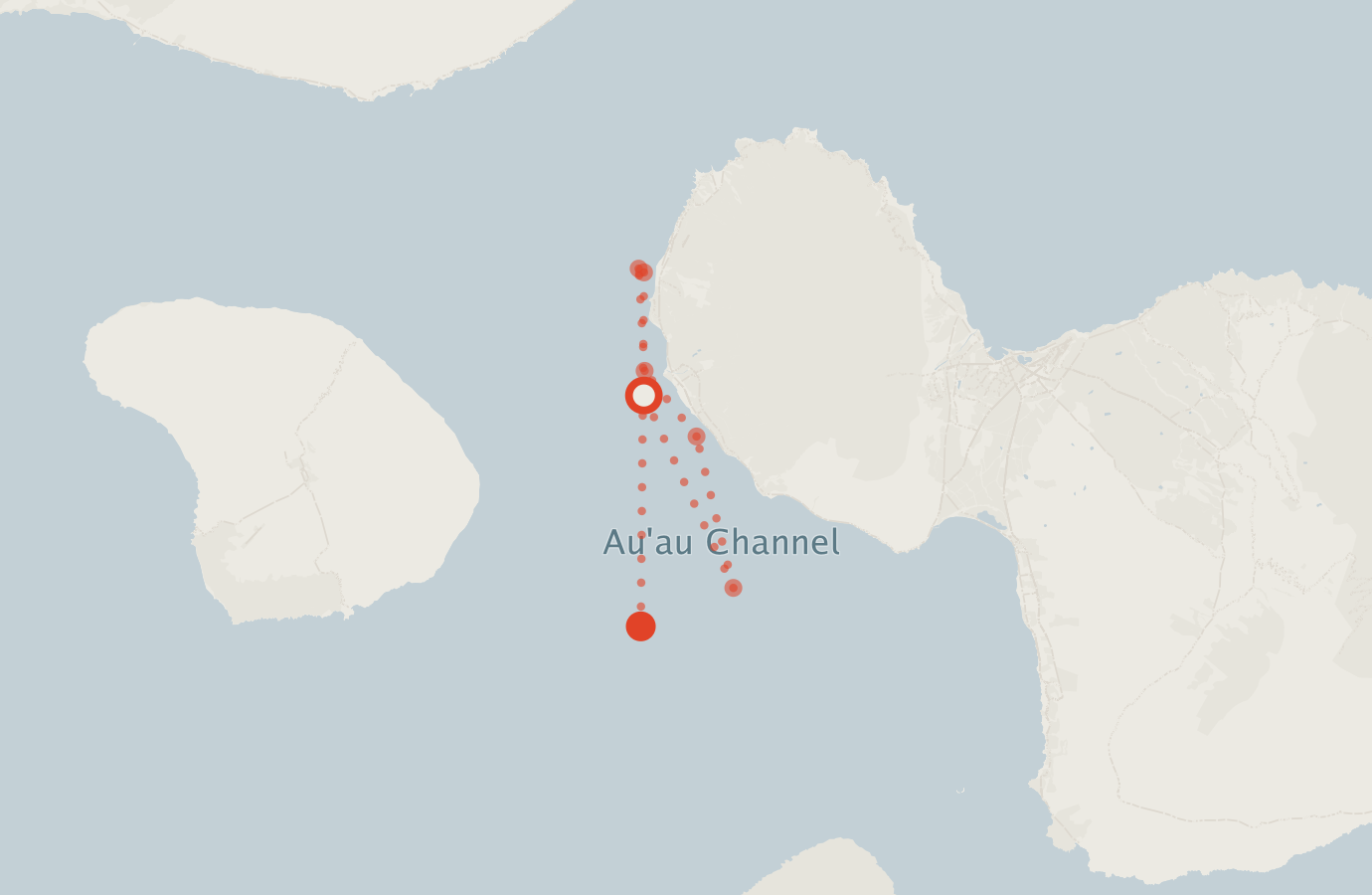 Activity map — real sighting points on an OpenStreetMap basemap