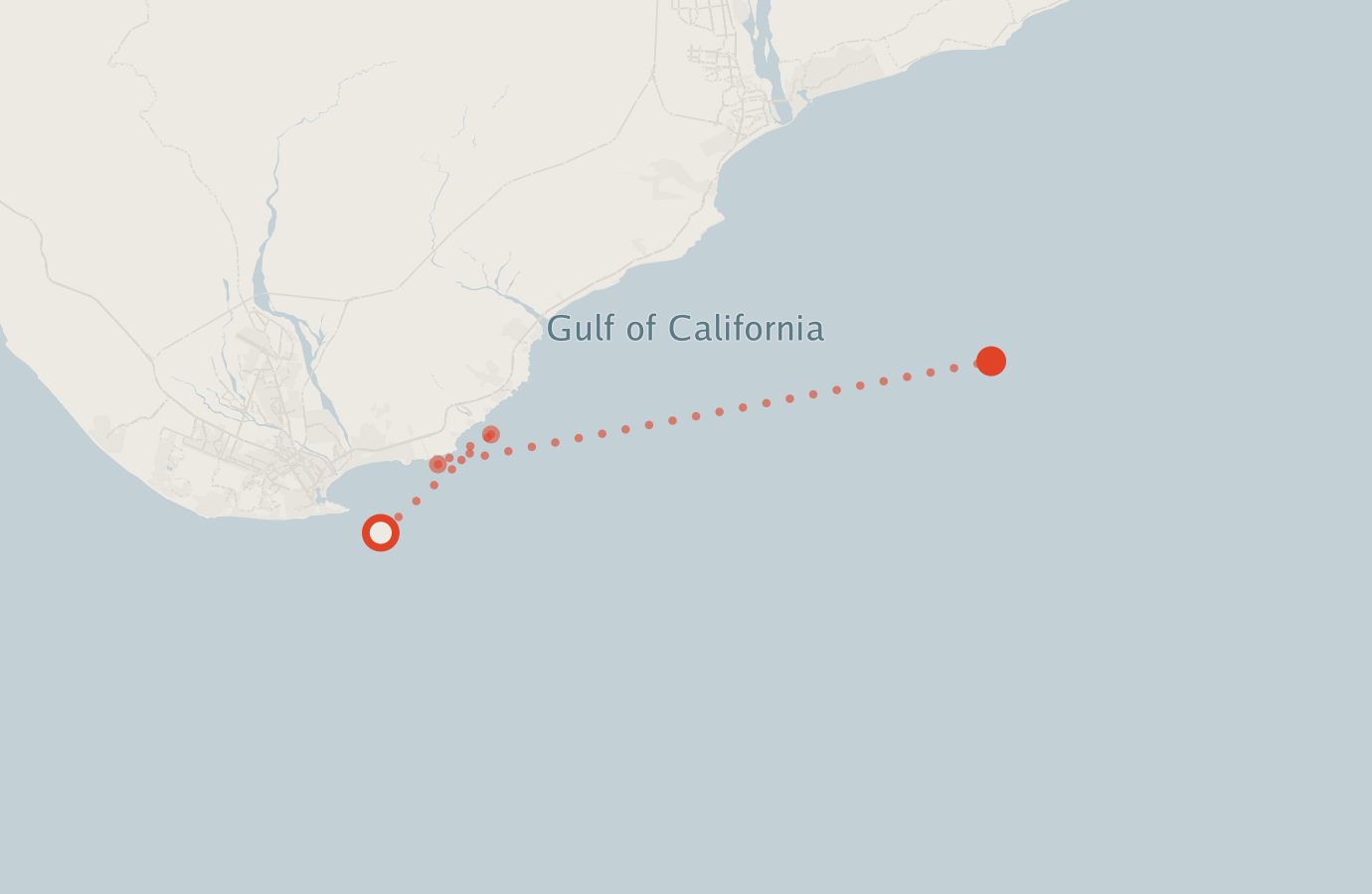 Activity map — real sighting points on an OpenStreetMap basemap