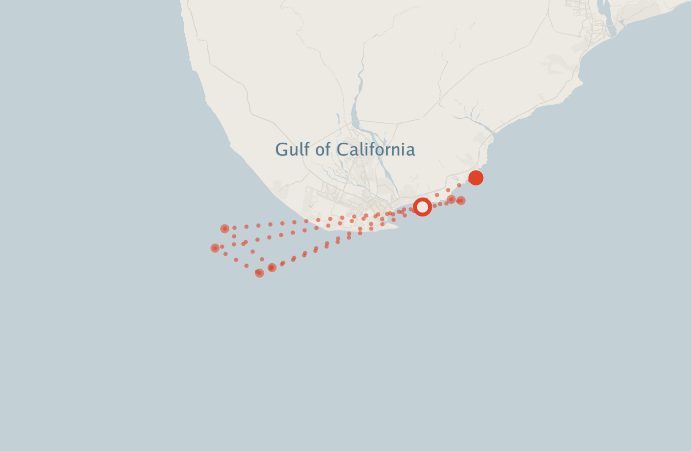 Activity map — real sighting points on an OpenStreetMap basemap