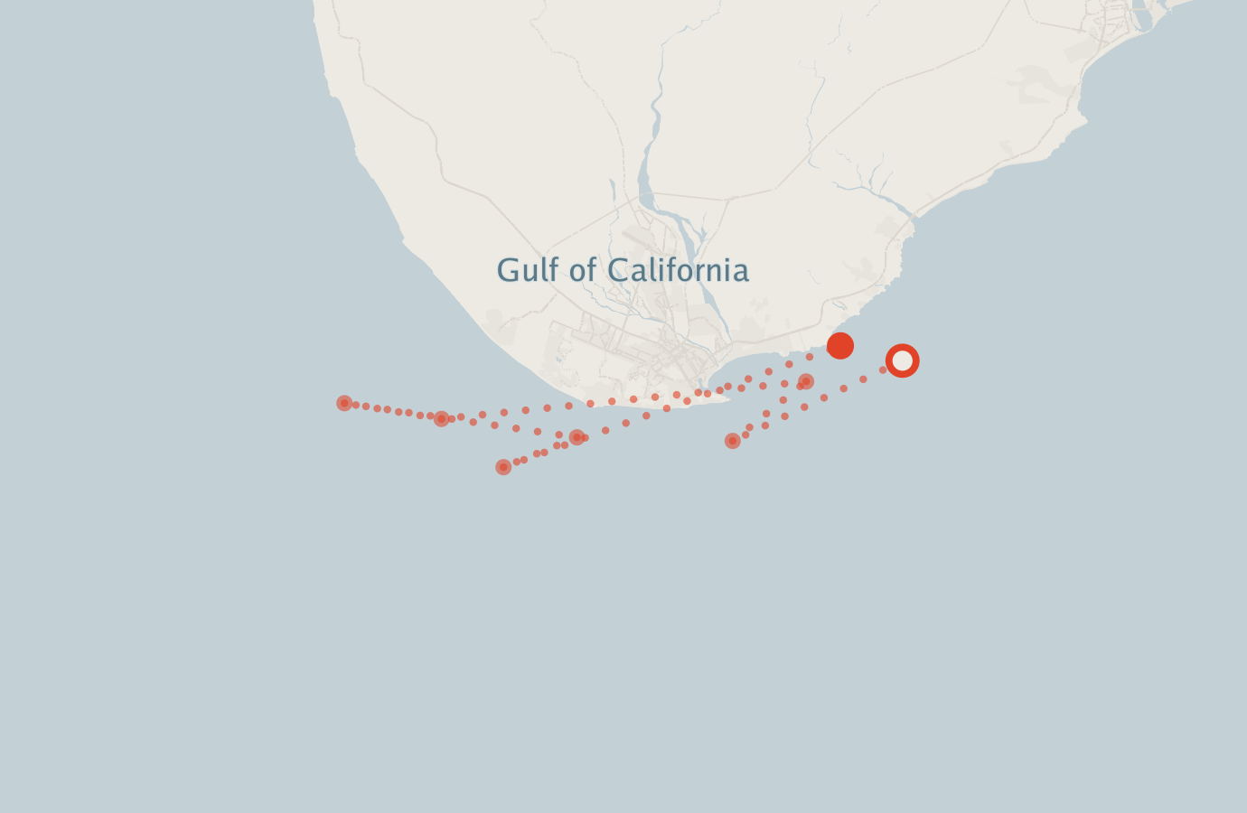 Activity map — real sighting points on an OpenStreetMap basemap
