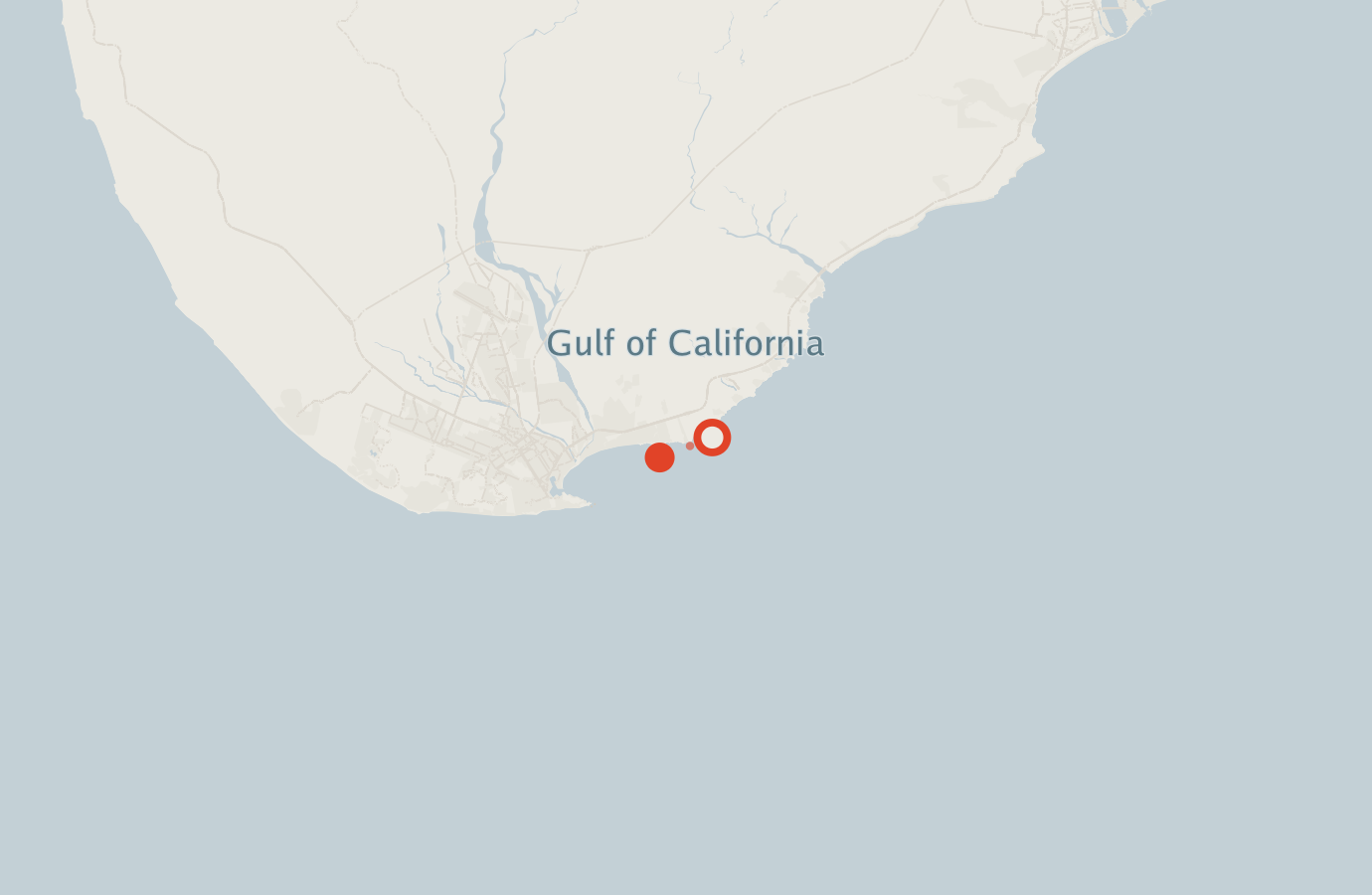Activity map — real sighting points on an OpenStreetMap basemap