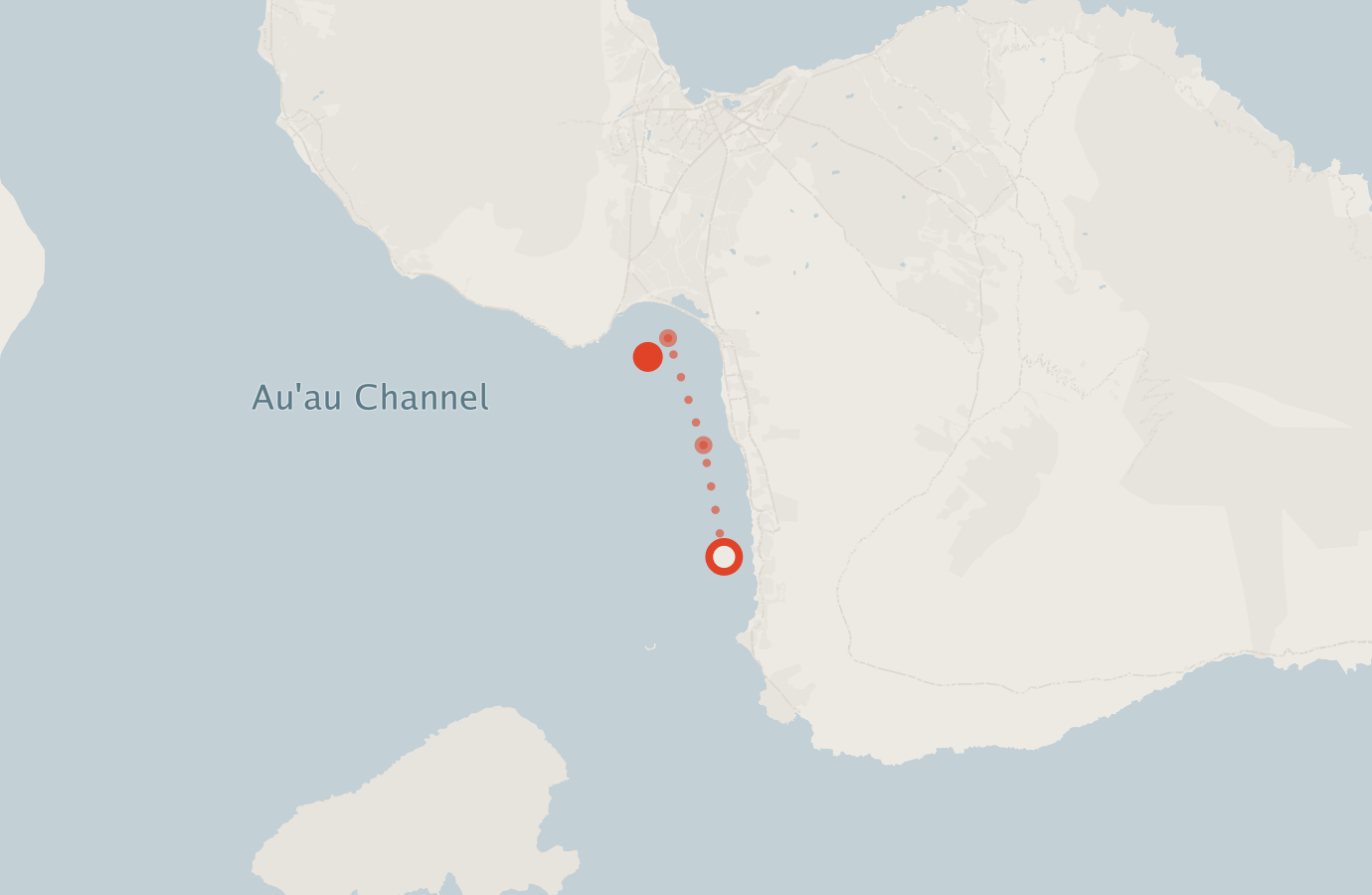 Activity map — real sighting points on an OpenStreetMap basemap
