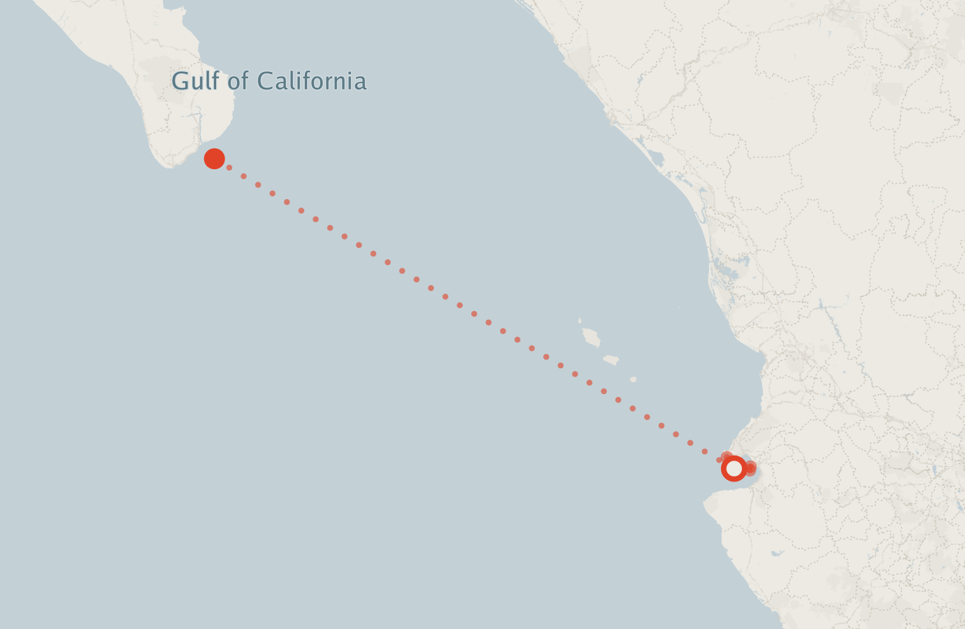 Activity map — real sighting points on an OpenStreetMap basemap