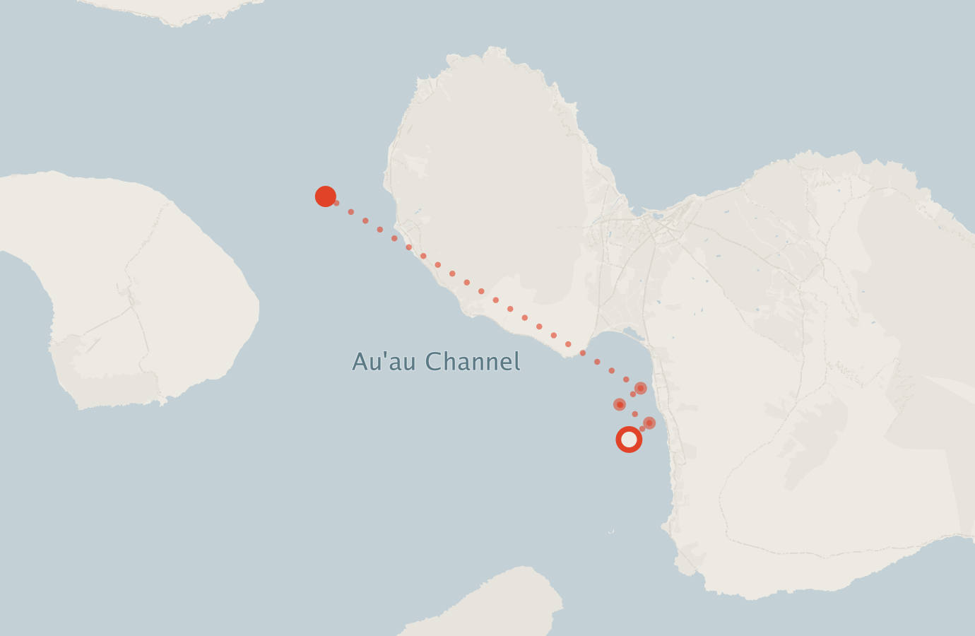 Activity map — real sighting points on an OpenStreetMap basemap