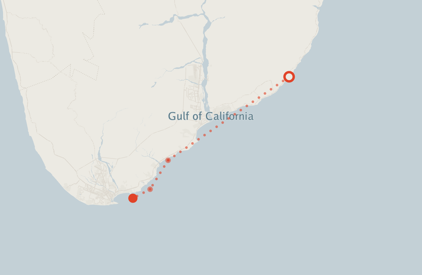 Activity map — real sighting points on an OpenStreetMap basemap