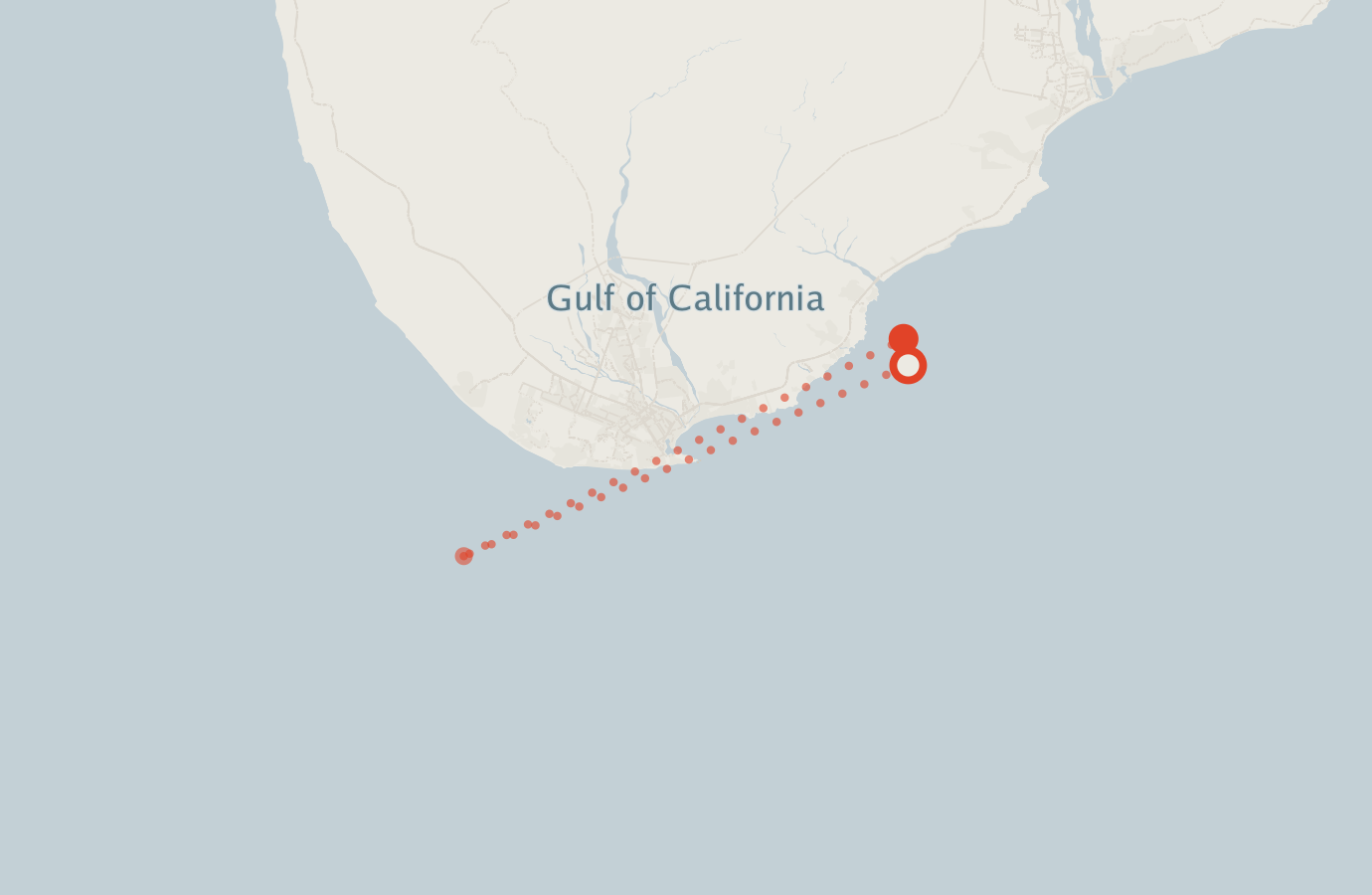 Activity map — real sighting points on an OpenStreetMap basemap