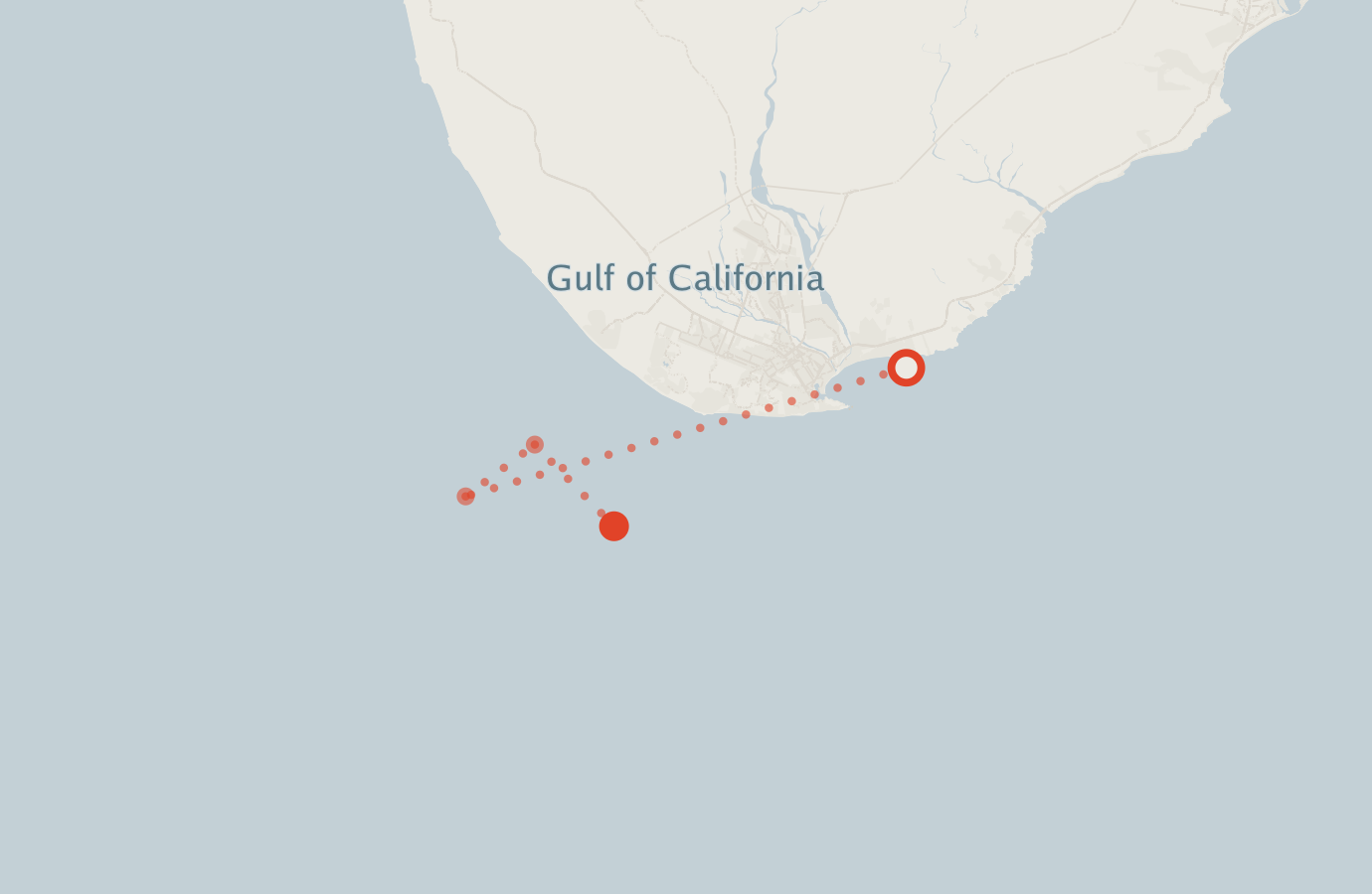 Activity map — real sighting points on an OpenStreetMap basemap